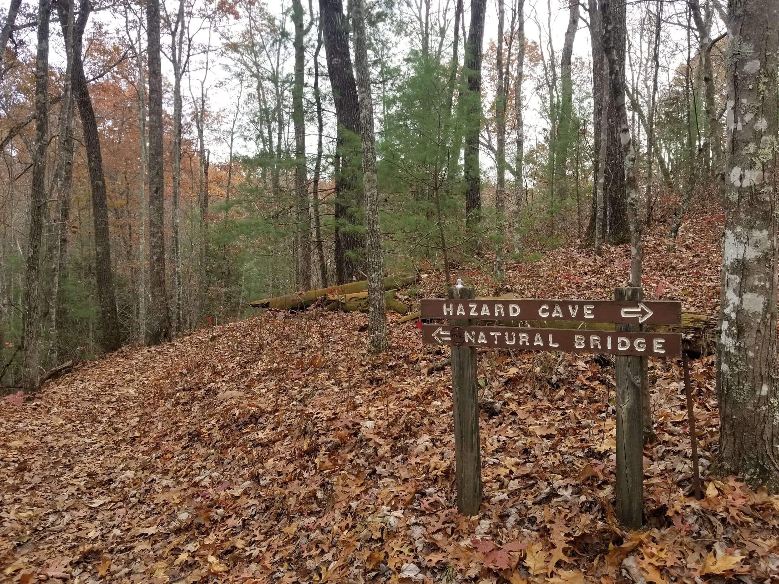 You can do Hazard Cave and Natural Bridge together in a roughly 2 mile hike