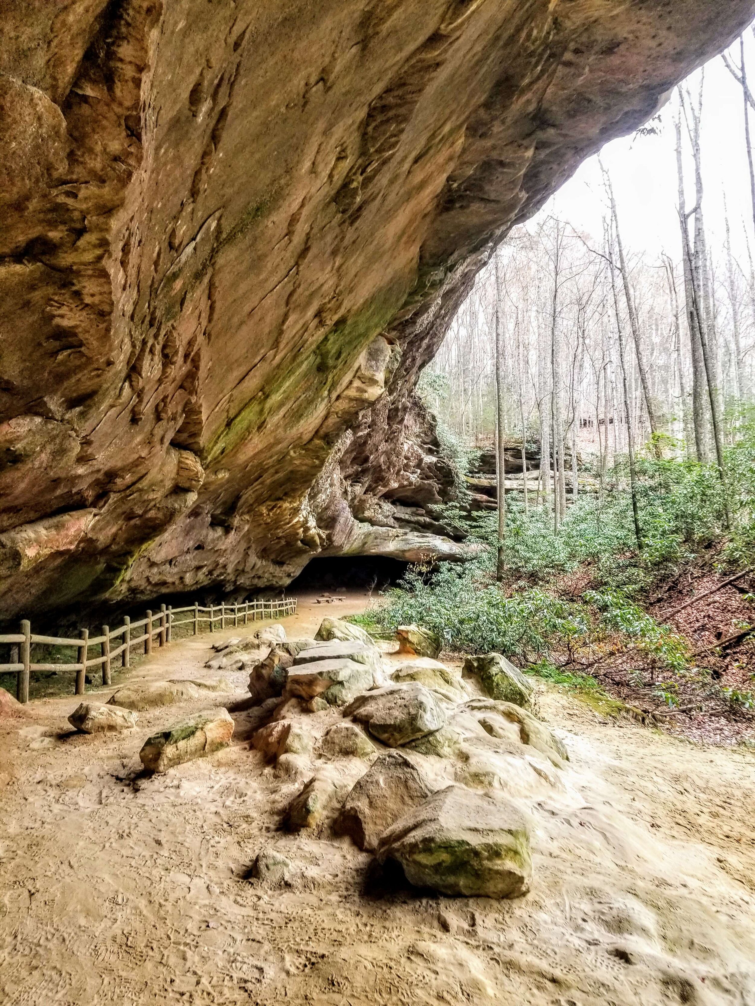 The outstanding rock shelter that is Hazard Cave