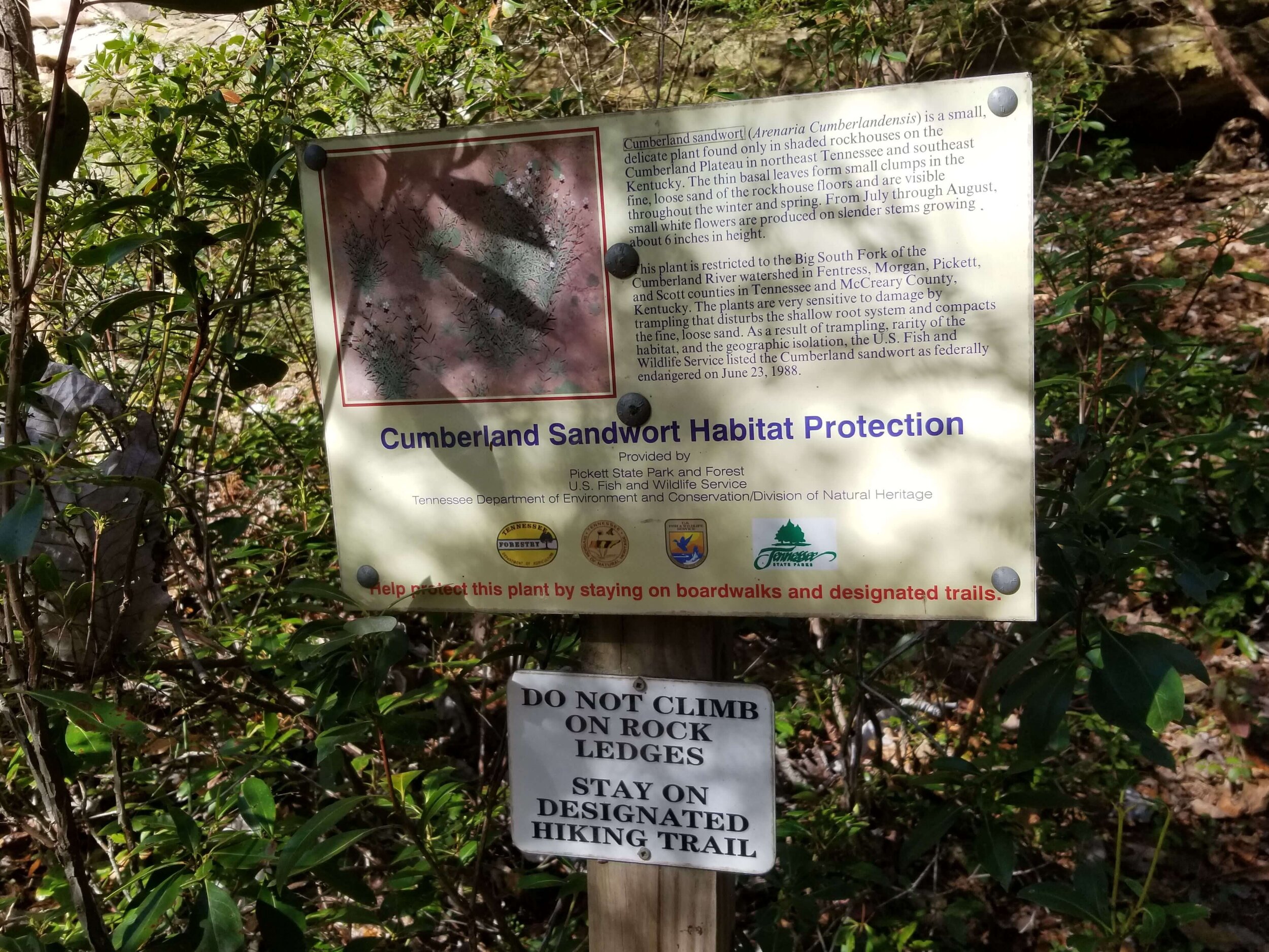Sign mentioning the endangered Cumberland Sandwort