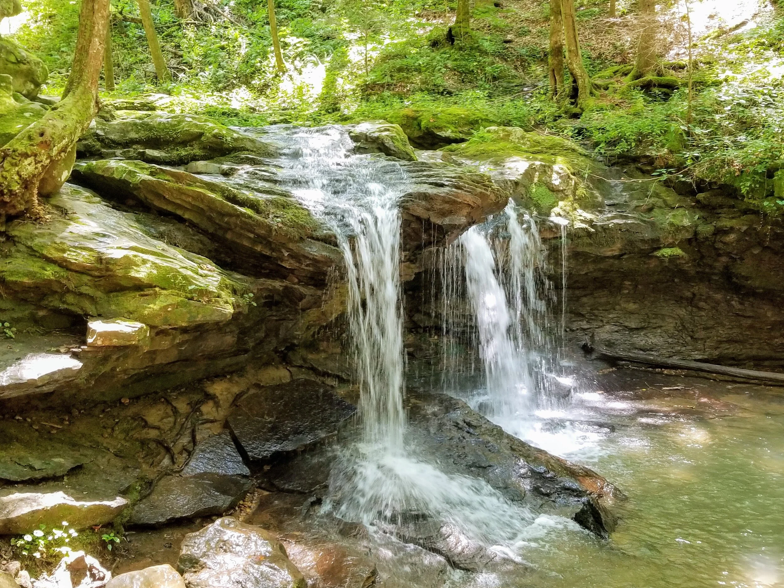 Frozen Head State Park has great hiking, camping, waterfalls, and a