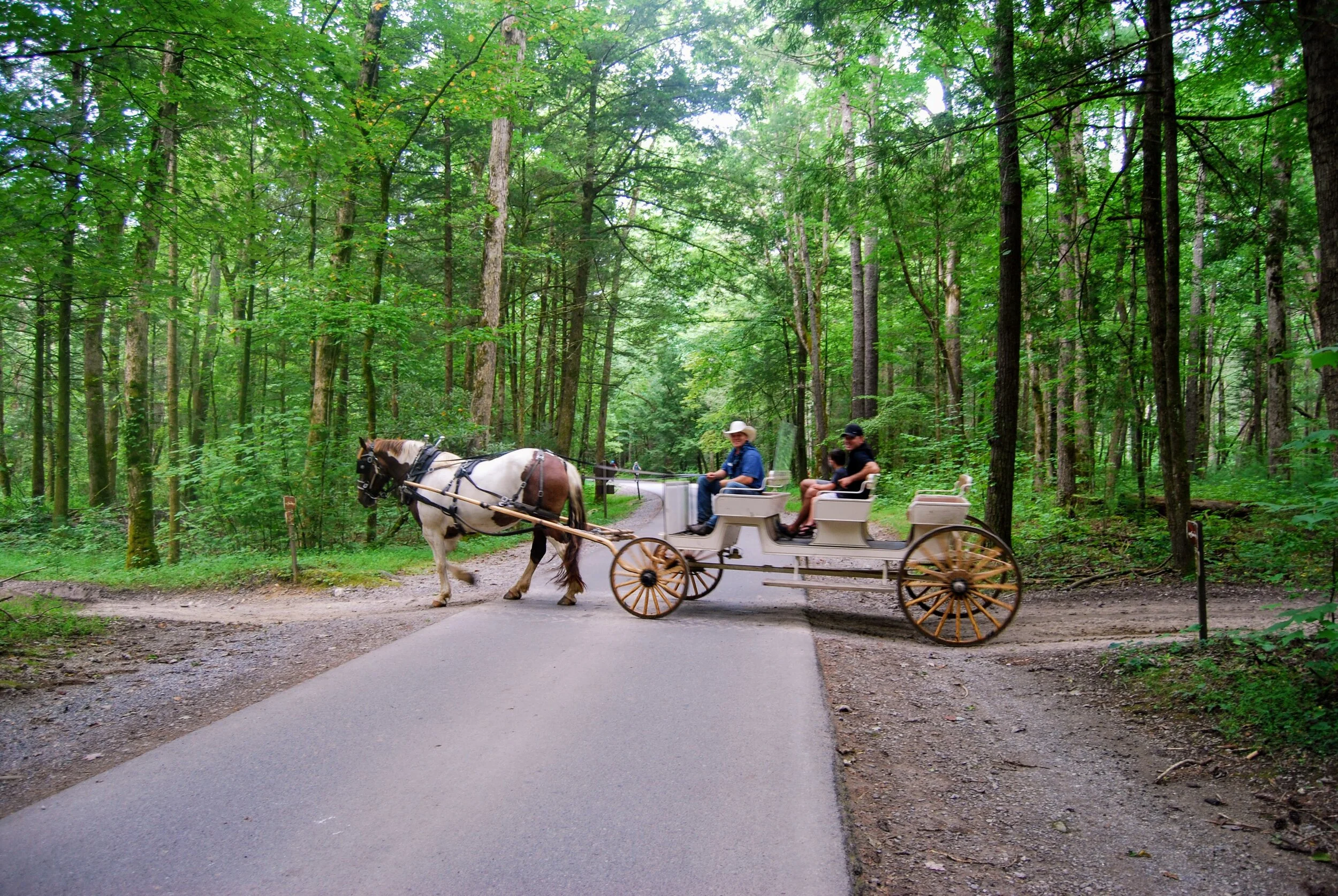 The Ultimate Guide to Cades Cove Campround — Simply Awesome Trips