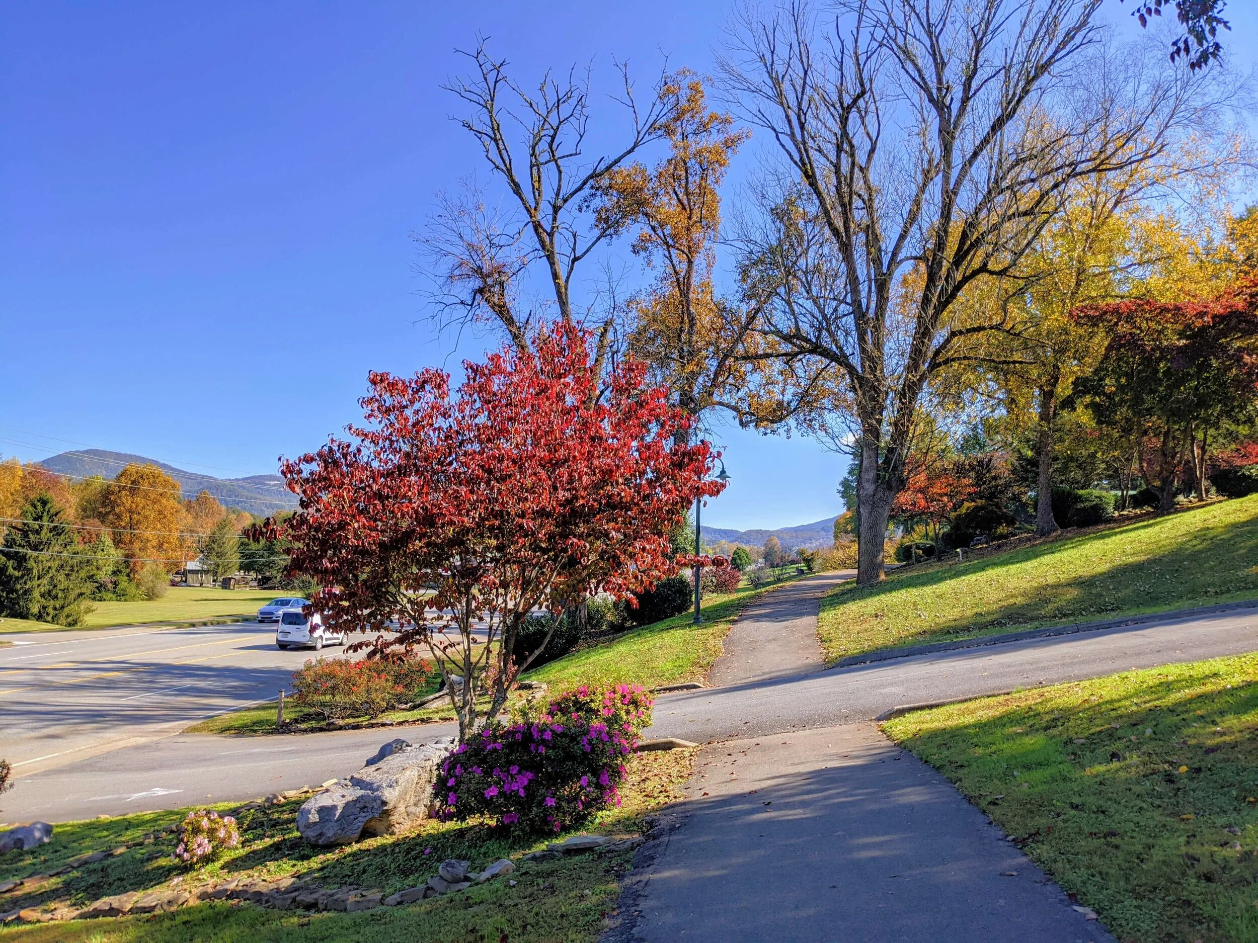 What You Need To Know About The Townsend Historical Trail, A Greenway