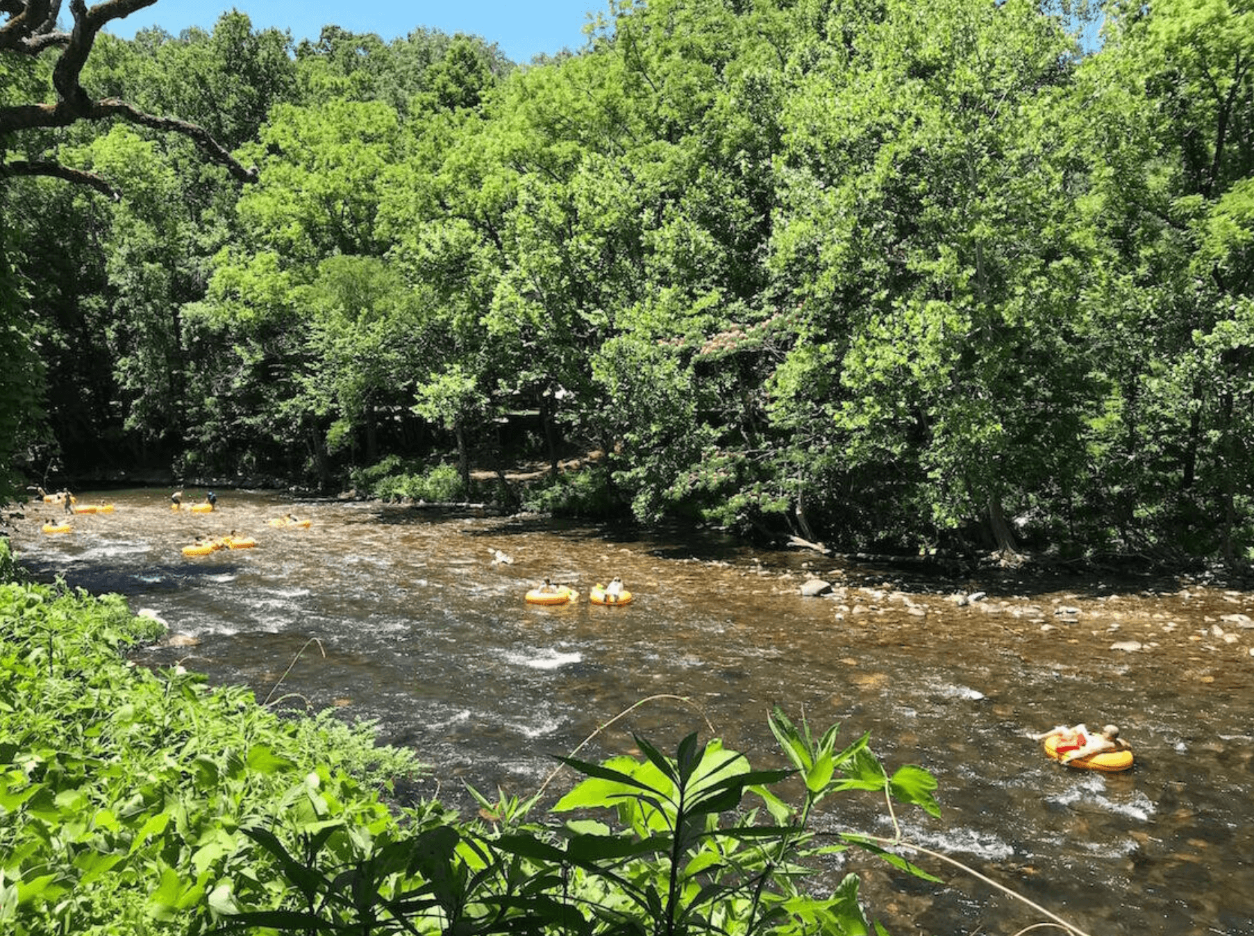 What You Need To Know About The Townsend Historical Trail, A Greenway