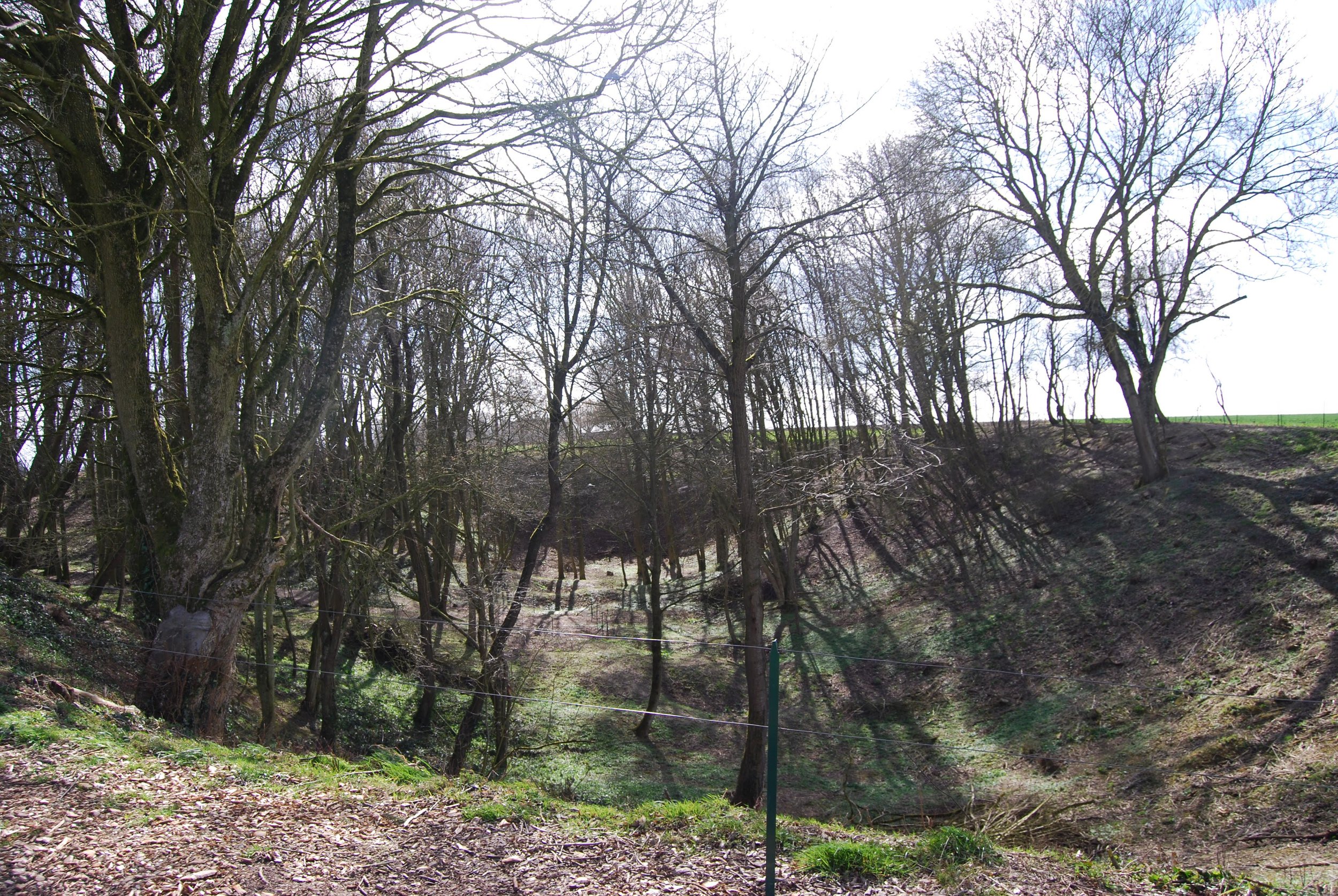  Looking across Hawthorn Crater. Just a mind blowing amount of explosive it must have taken to make this size of crater. 