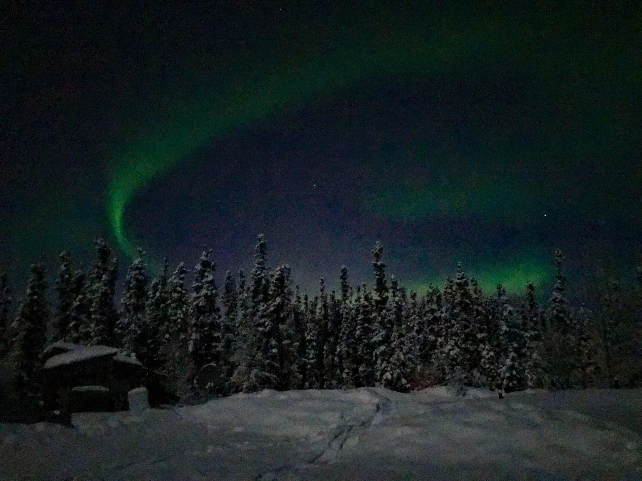 Think You Shouldn't Travel to Alaska in January? Think Again. — Simply