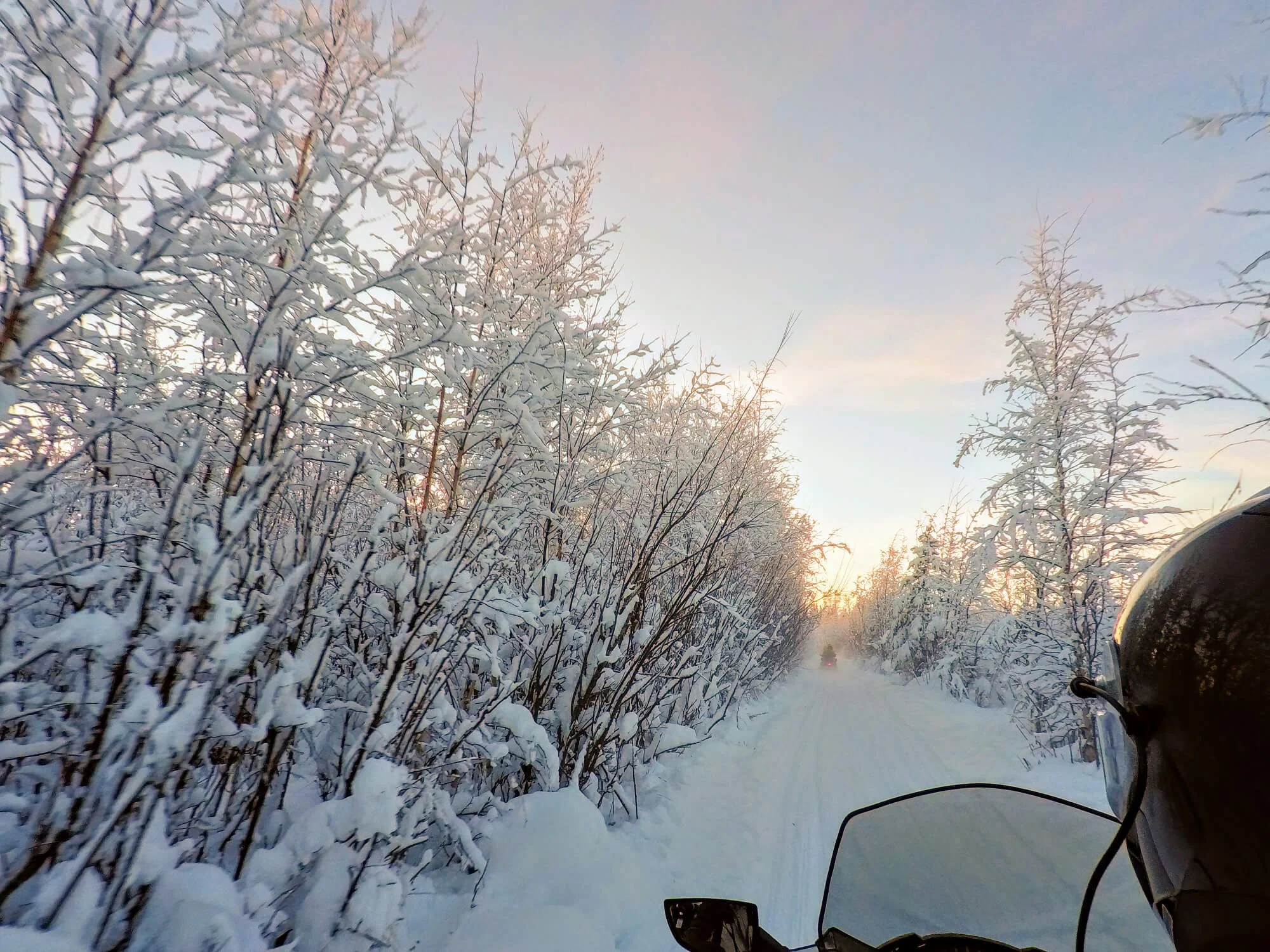 There are miles of trails behind Rod’s property, And yes, it still looks like the sunrise at 1030am.