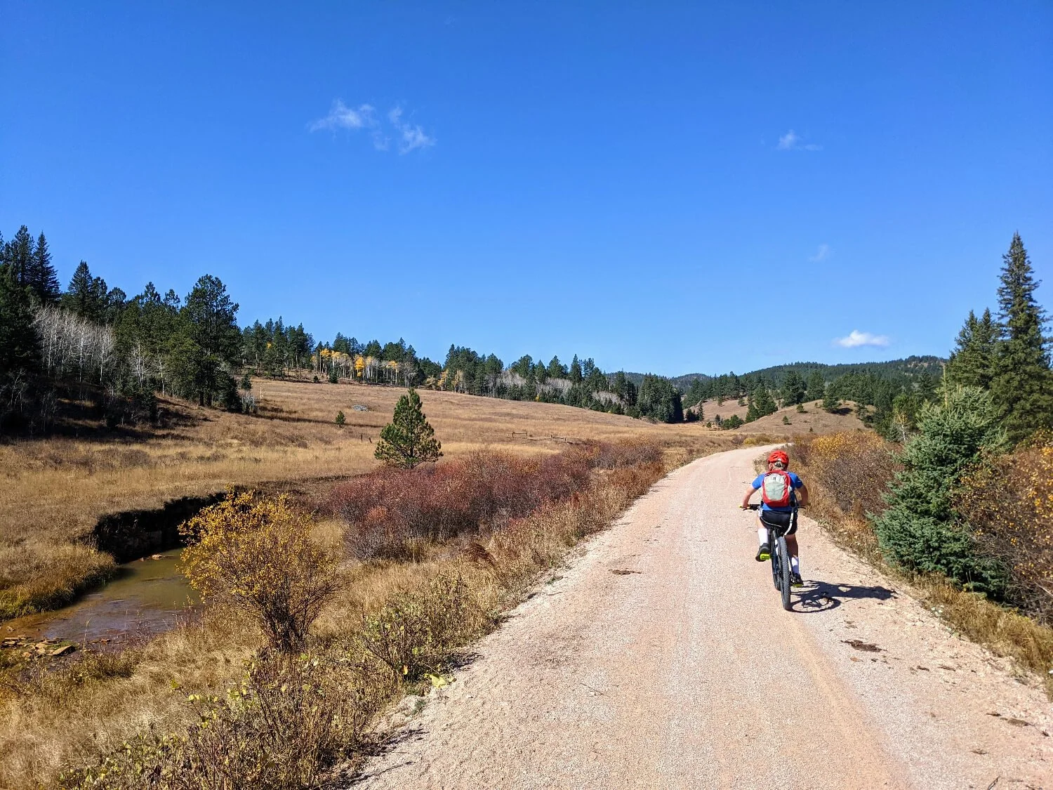 A Simply Awesome Day Biking The Mickelson Trail in The Black Hills Of