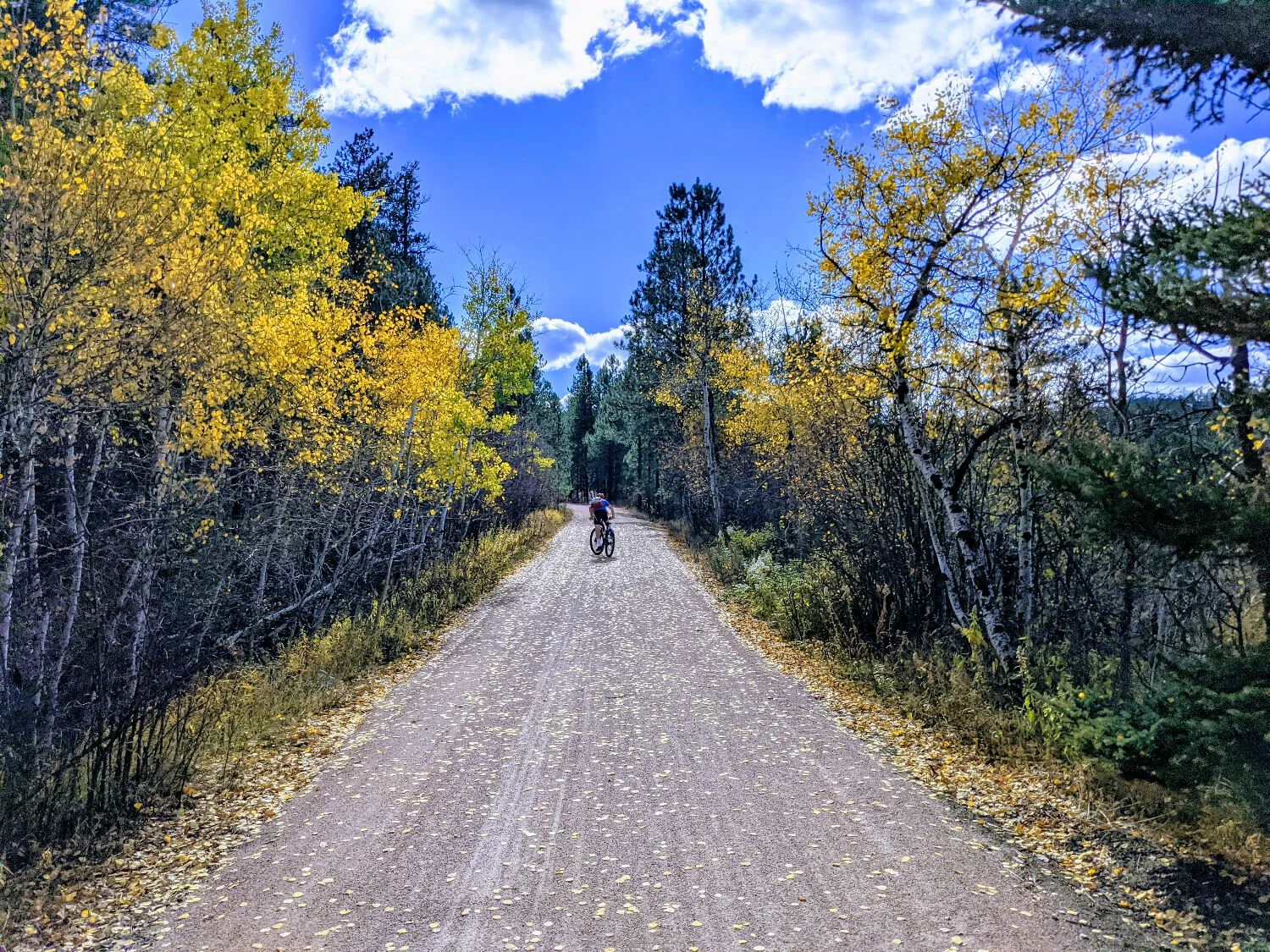 A Simply Awesome Day Biking The Mickelson Trail in The Black Hills Of