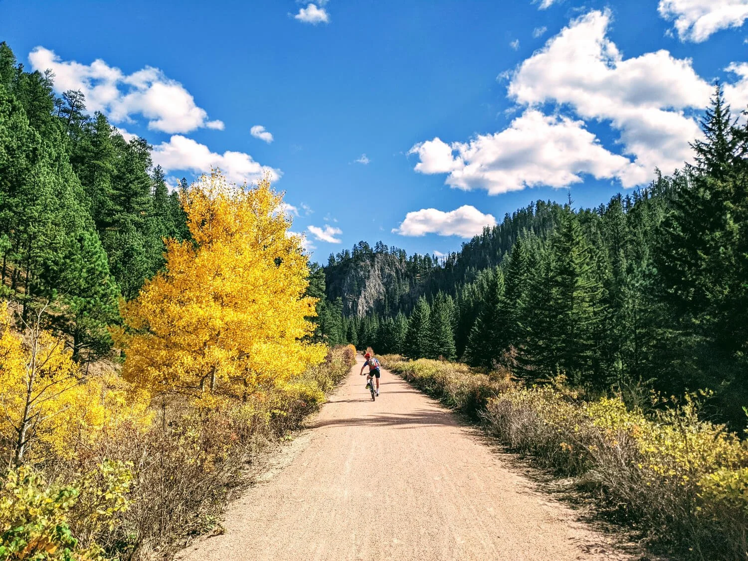 A Simply Awesome Day Biking The Mickelson Trail in The Black Hills Of