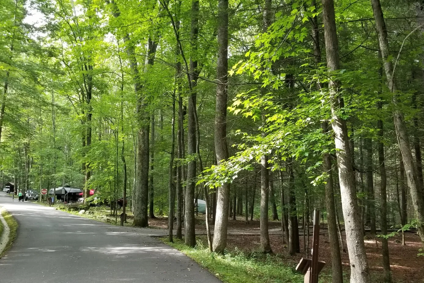 Awesome Camping In Frozen Head State Park in Tennessee — Simply Awesome