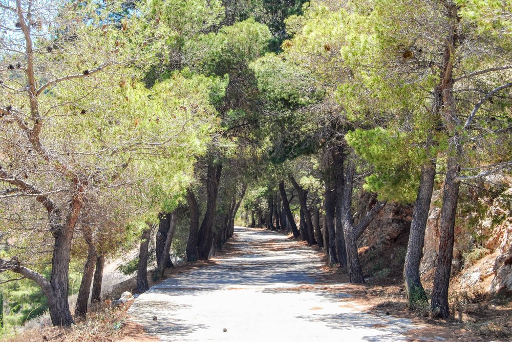If you wanted to continue up to Profitis Ilias Monastery and Mount Eros, you would continue on this nice tree- lined path behind Agios Konstantinos