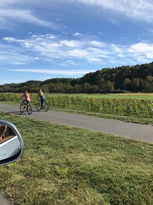 There are lots of bike paths around Biltmore Estate Farm