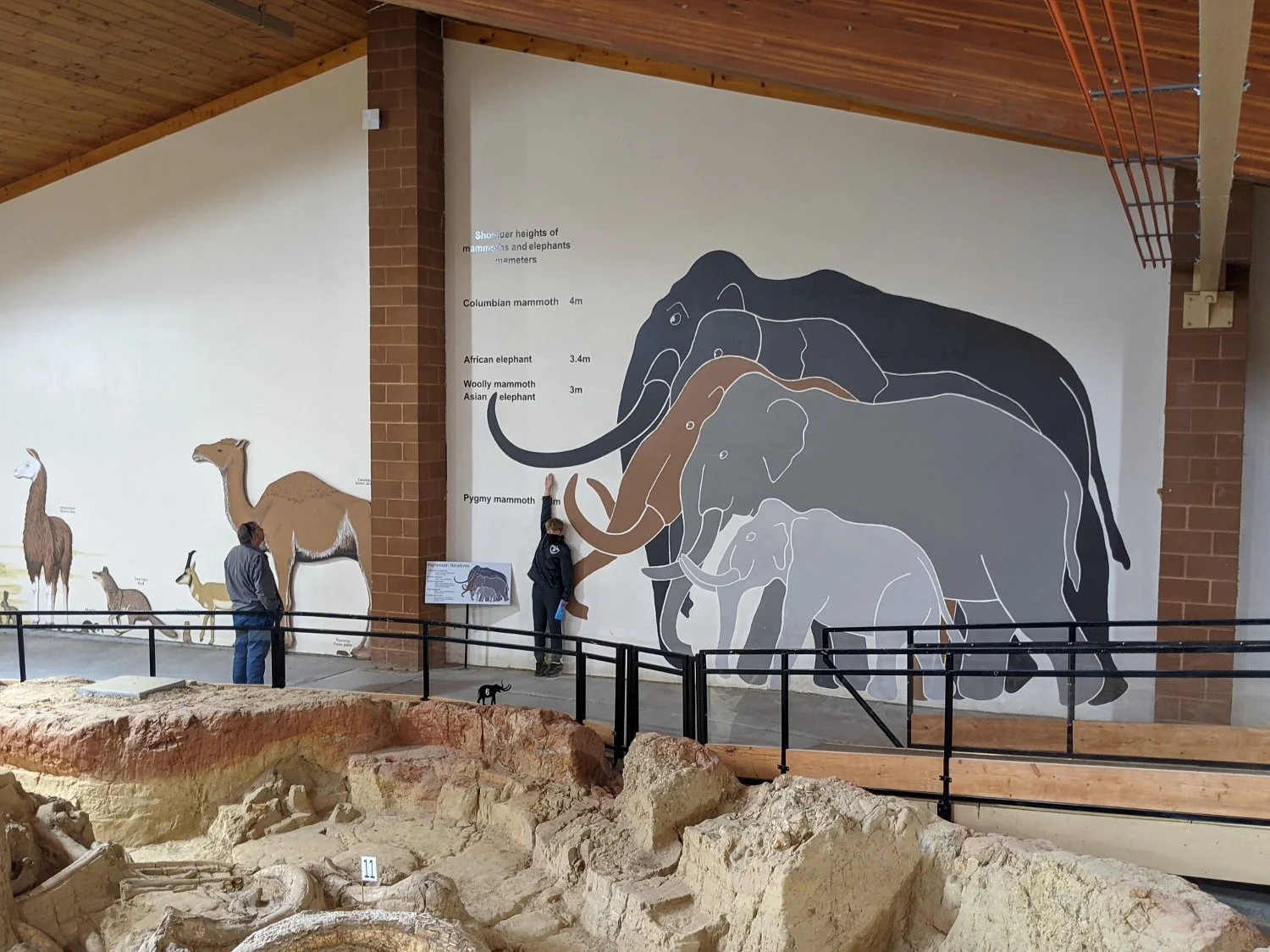 The Mammoth Site A Hidden Gem In The Black Hills of South Dakota