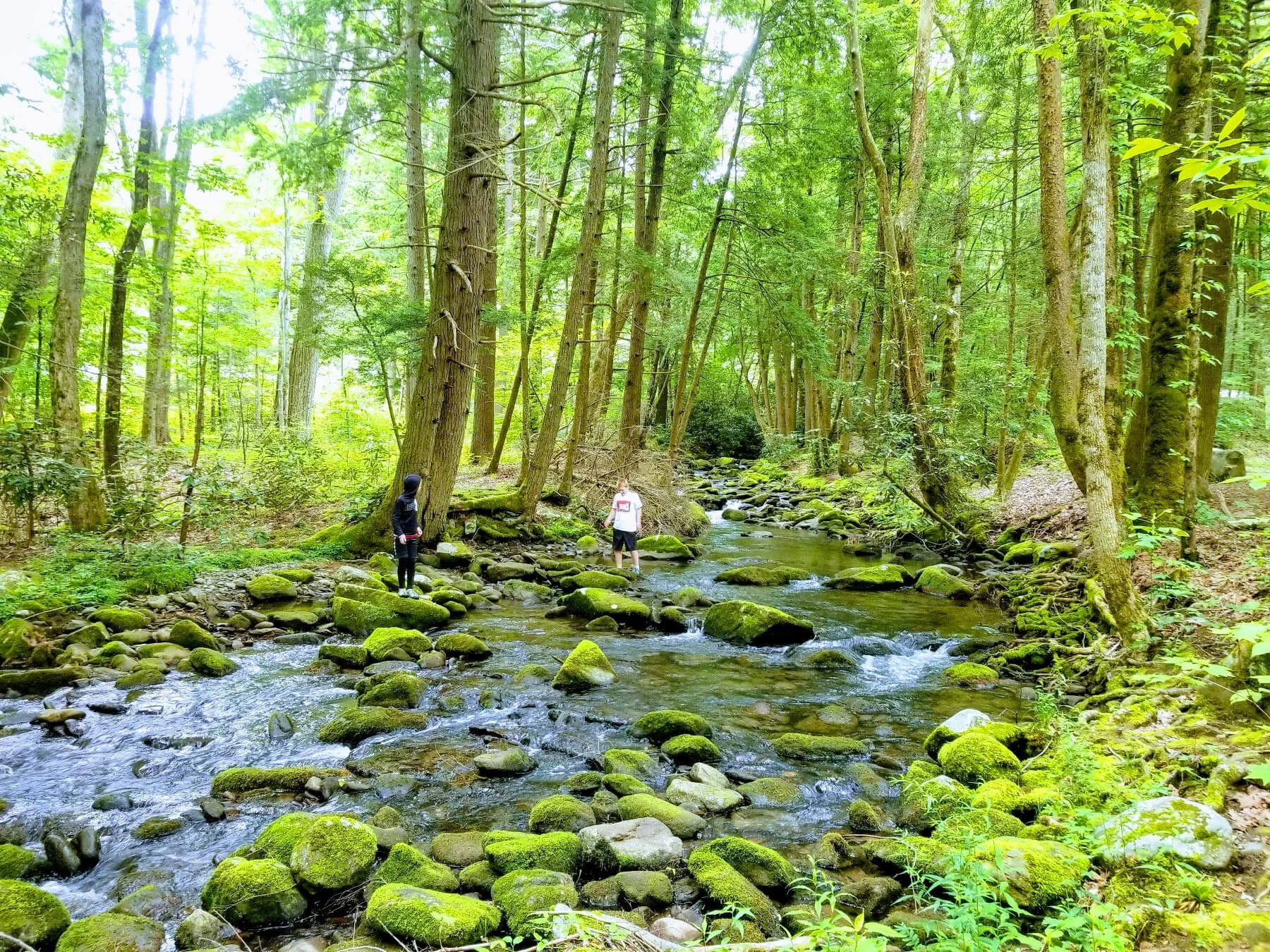 Our Family 39 s 10 Favorite Things - Rock Hopping Jakes Creek Elkmont Campground Great Smoky Mountains National Park (1) 