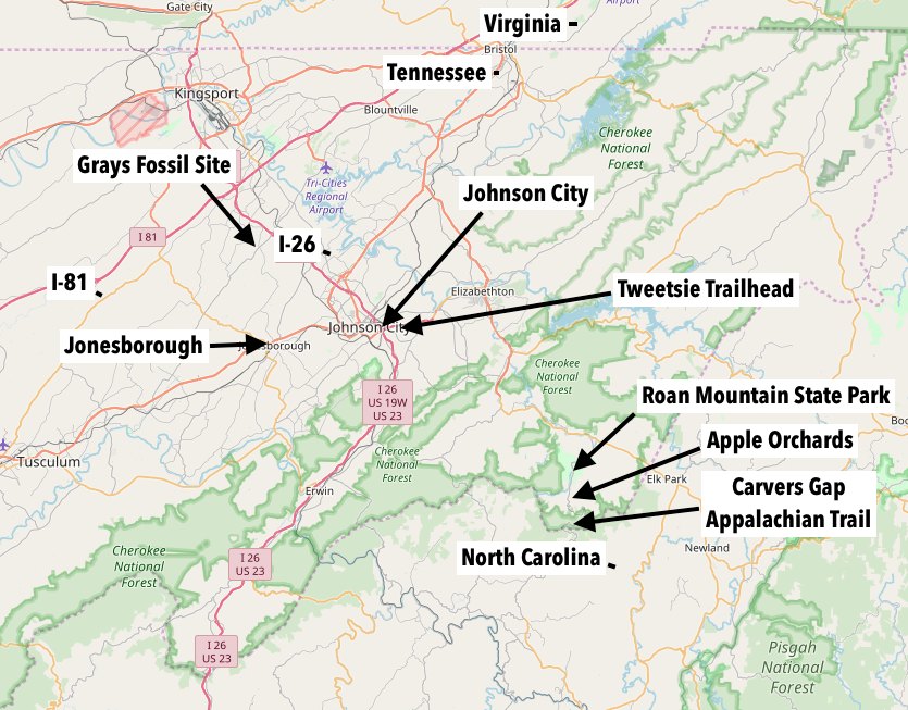 Johnson City, TN A Weekend Of Fun For Kids Of All Ages — Simply