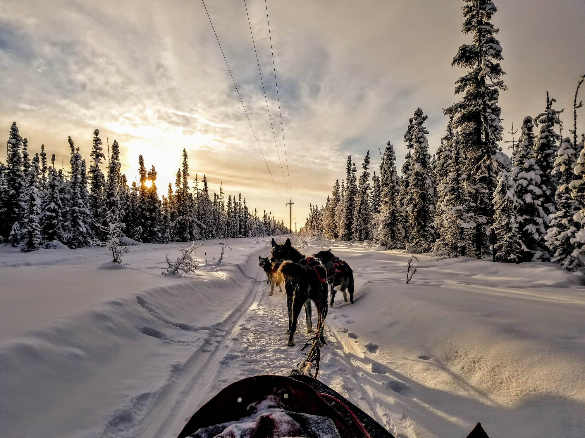 Think You Shouldn't Travel to Alaska in January? Think Again. — Simply  Awesome Trips