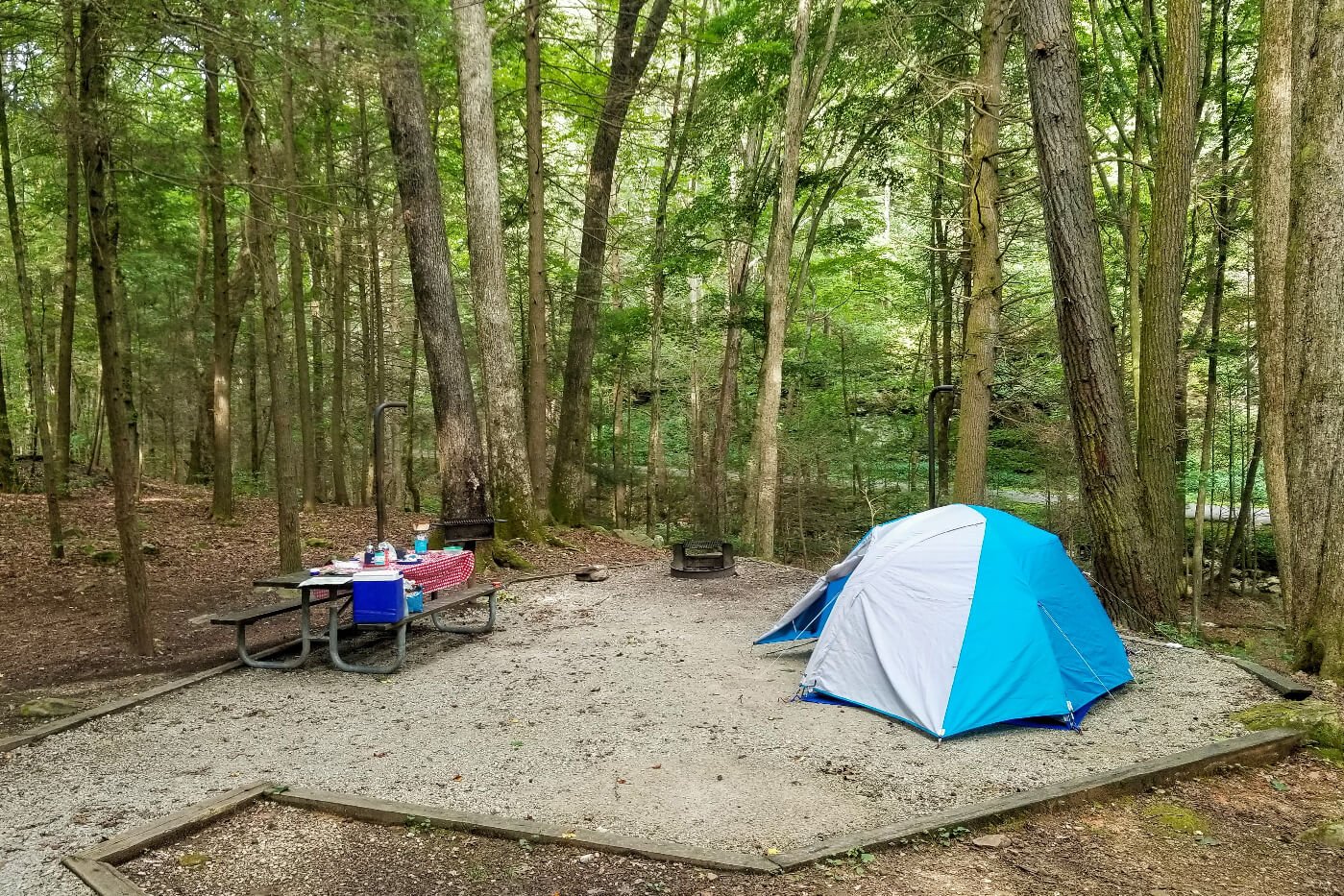 camping trip head
