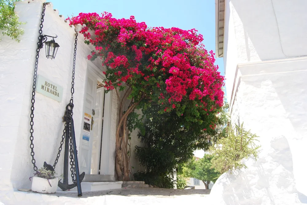 Where To Stay In Hydra Best Hotels And Vacation Rentals — Simply