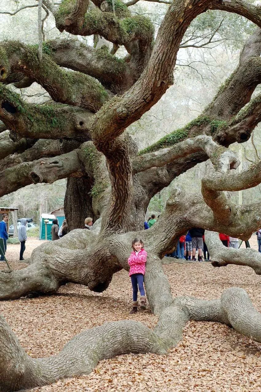 The Insider’s Guide To Kiawah Island — Simply Awesome Trips