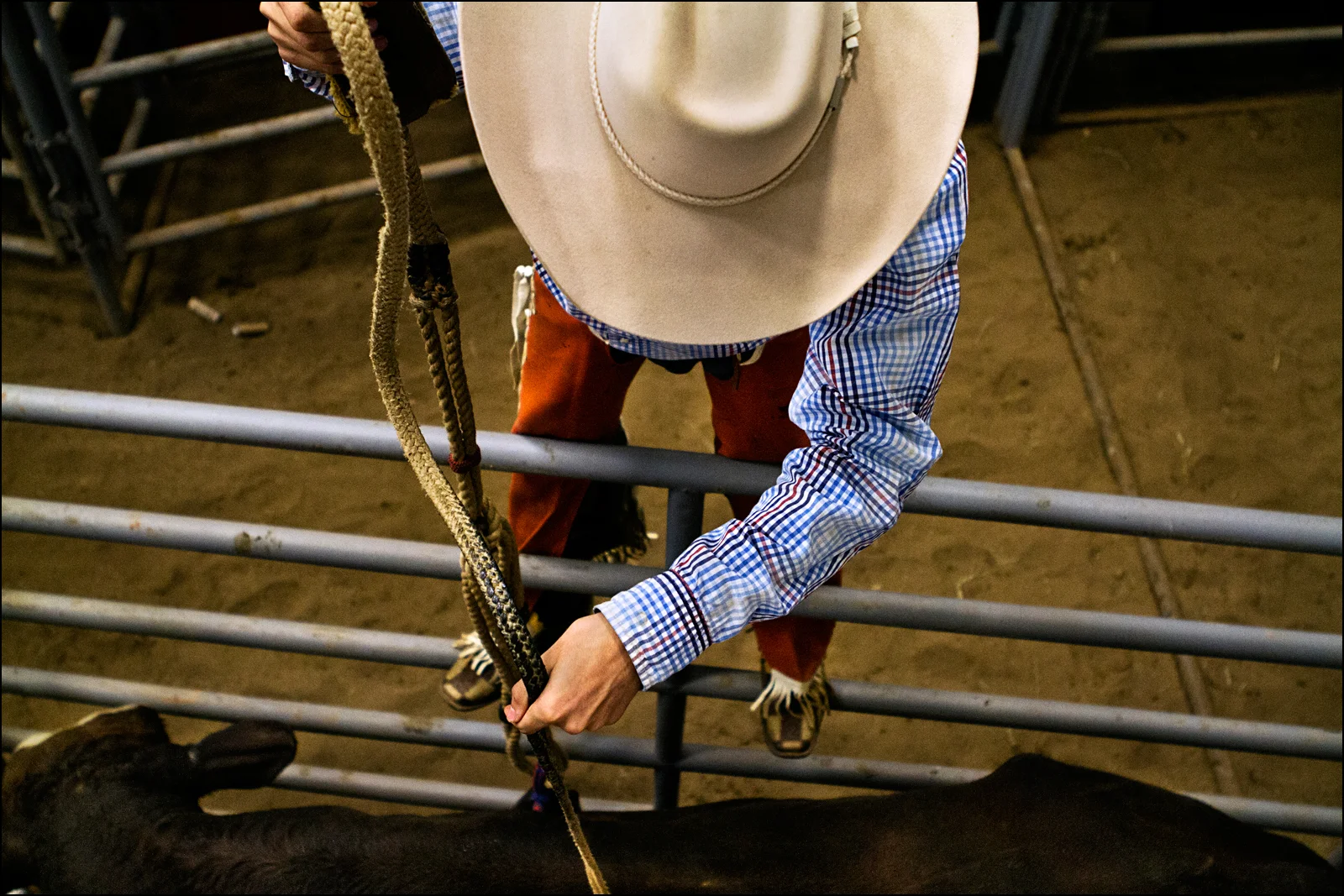Coy Hooten of Huntington, Tennessee prepares a bull for the Bull riding competition at the Kentucky High School Rodeo, which was held at the WKU AG Expo Center. "I just hope I can stay on long enough to qualify," said Coy. 