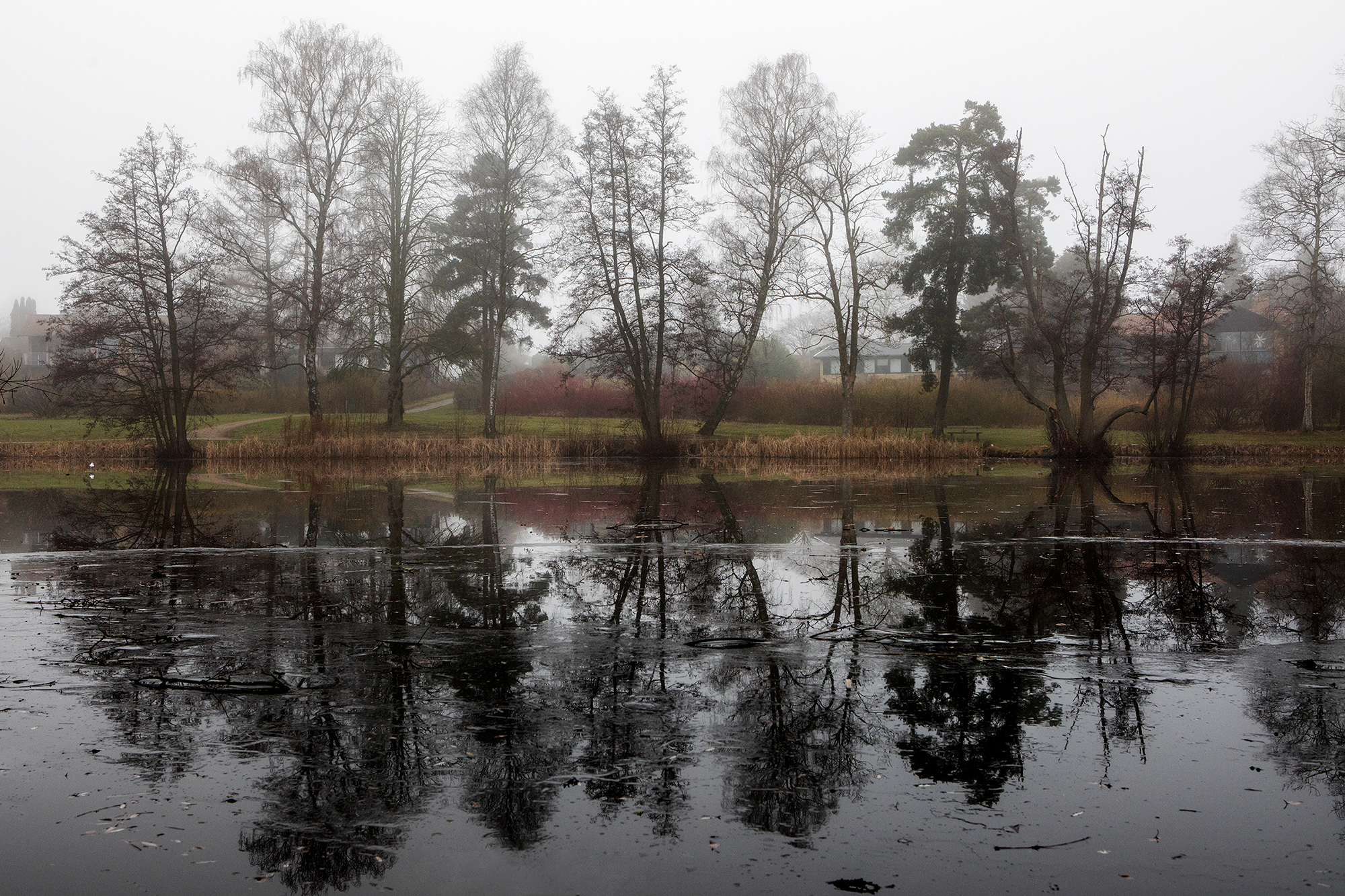  Reflecting.&nbsp;Birkerød, Denmark. 2017 