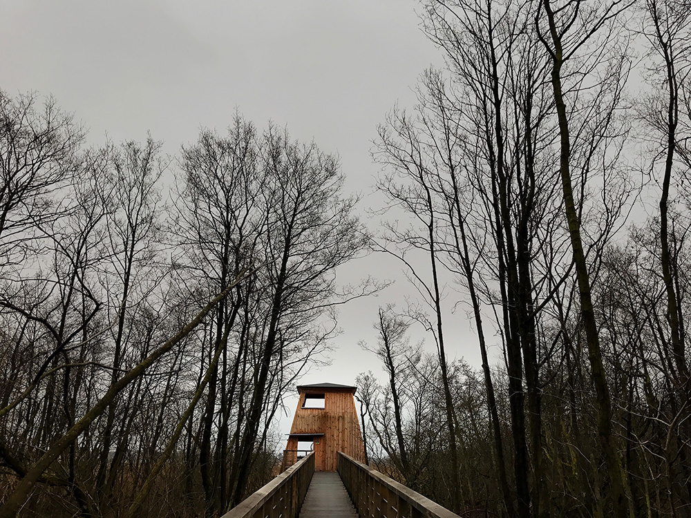 Bird watch tower.