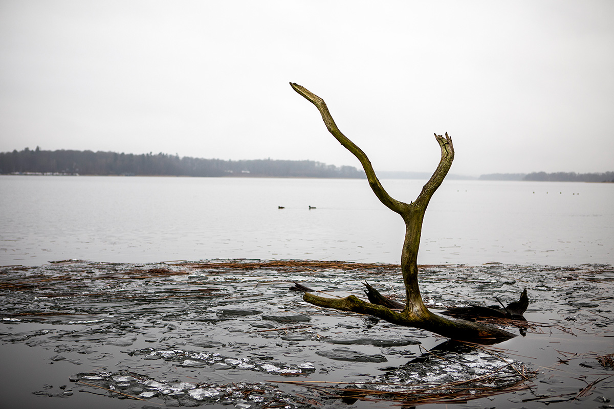 Still water and Ice.
