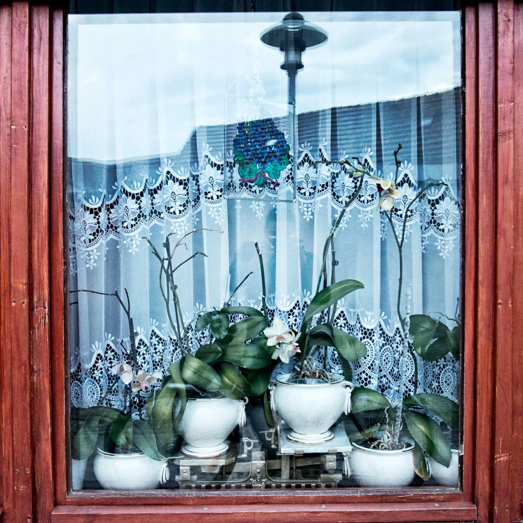 Plants in the window of a home in the old town of Hoyerswerda. 