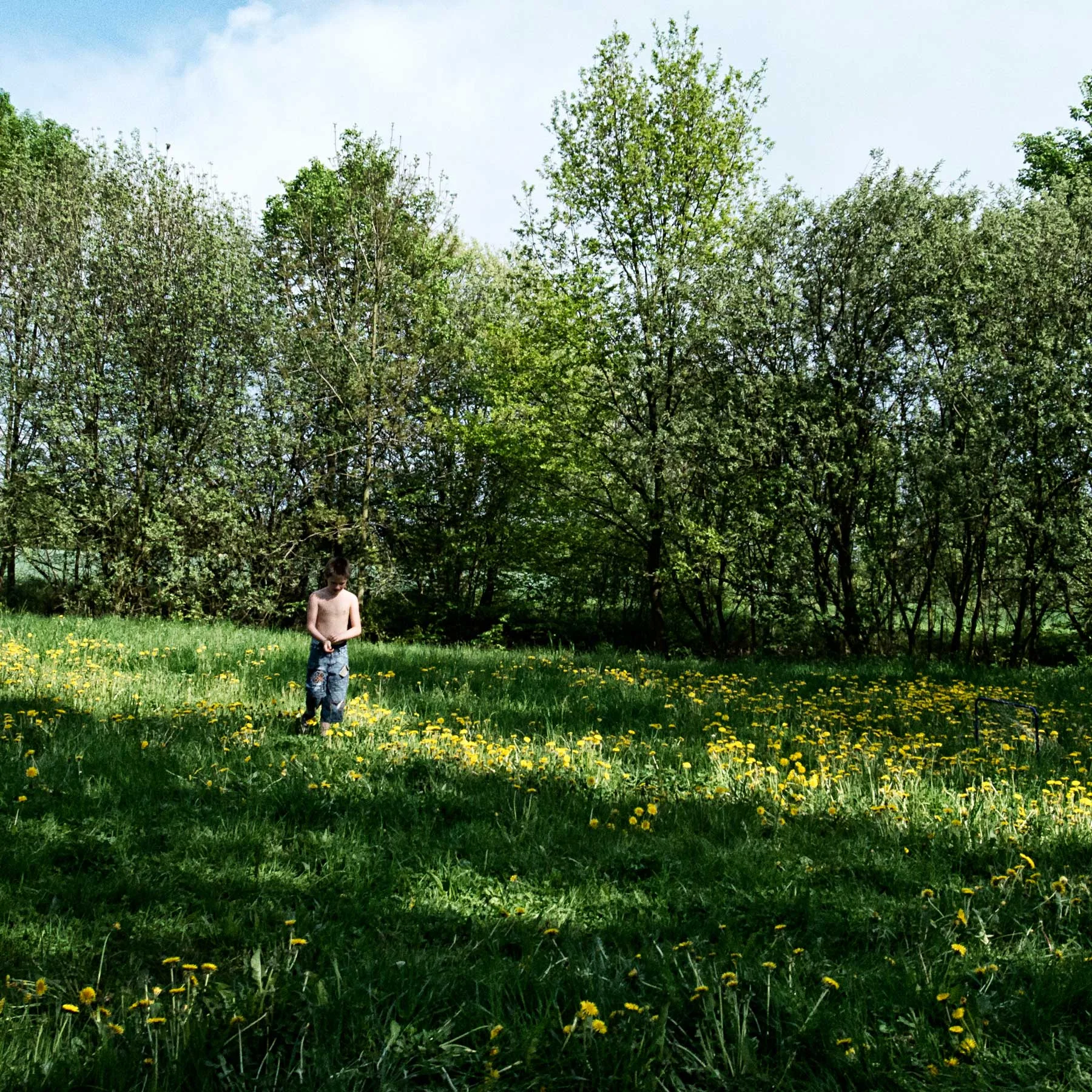 A young boy plays alone in an open field.