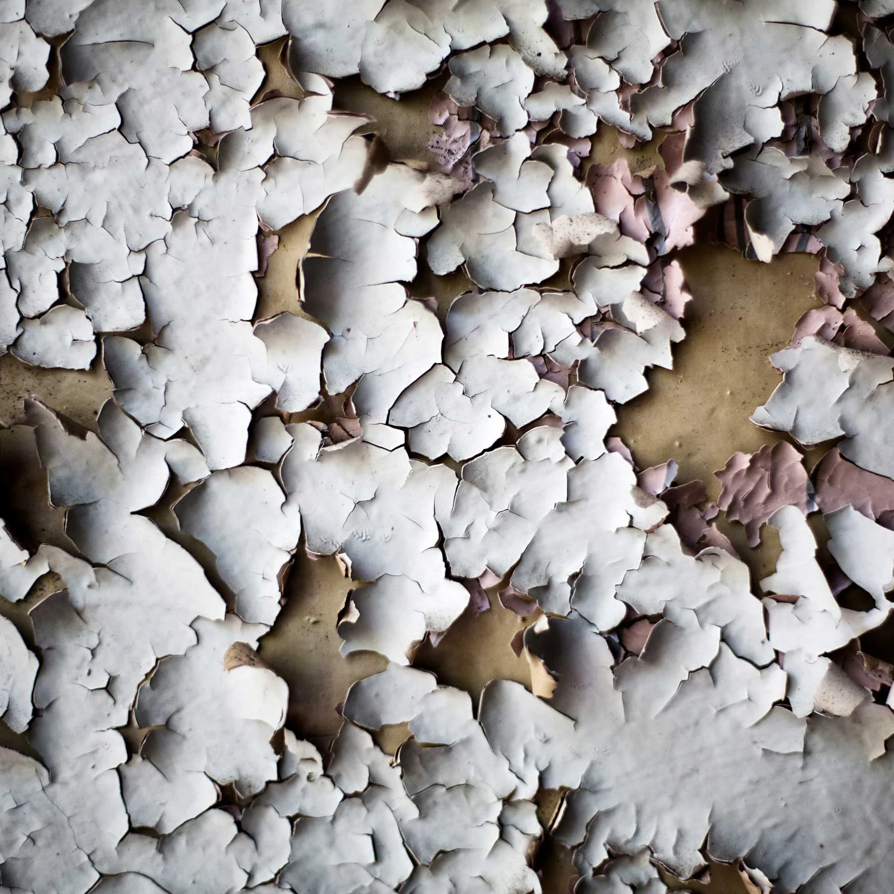 Paint peeling from the wall of an empty apartment complex. The apartment was filled with families and workers from the glass factory but when it closed everyone moved to other places leaving the small community empty.