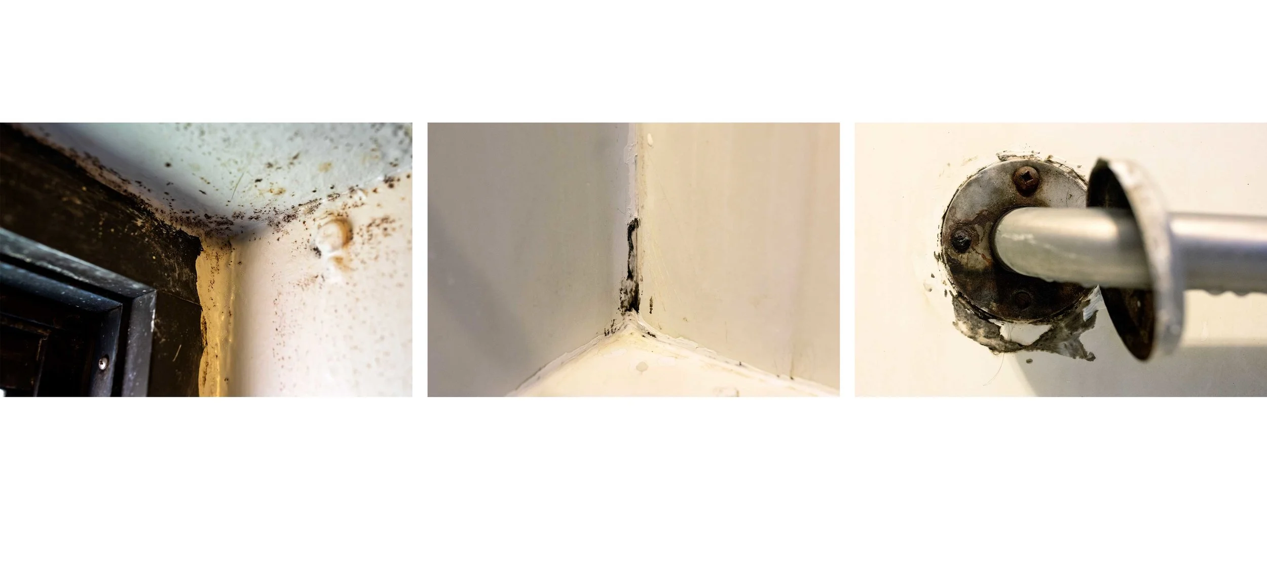 Details of damage in Garcia’s apartment show mold on the walls and peeling paint.