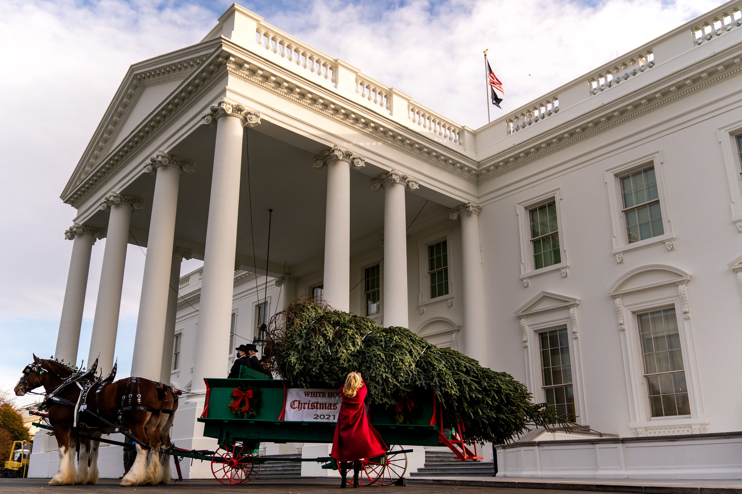  First Lady Dr. Jill Biden takes a look at the official 2021 White House Christmas Tree outside of the North Portico at the White House. 