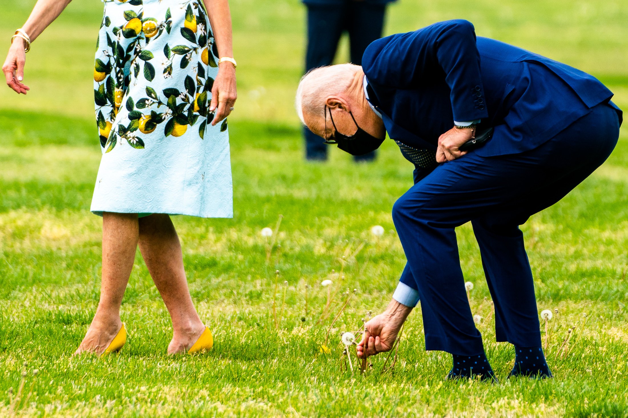  US President Joe Biden picks a dandelion for First Lady Jill Biden during a walk to Marine One on The Ellipse at the White House. 