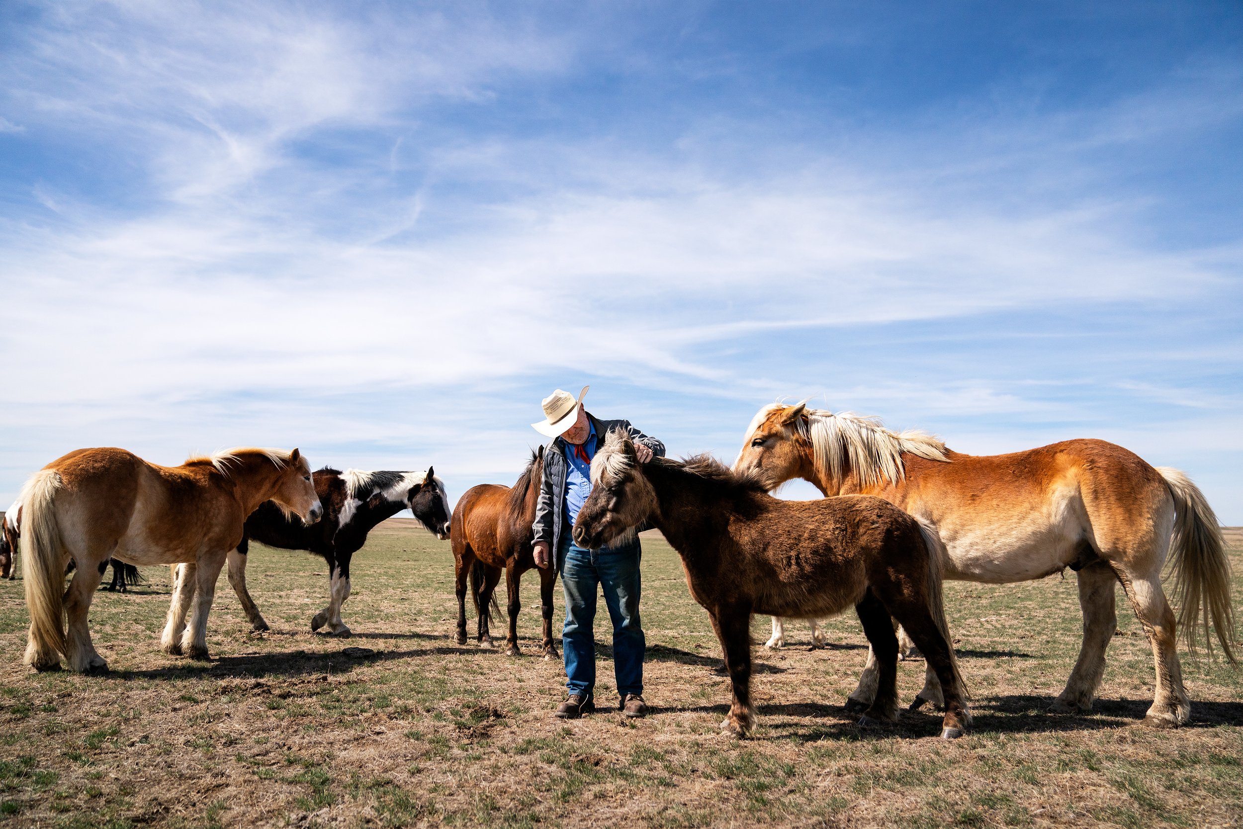  Link to Story:  The nuclear missile next door    Ed Butcher visits horses in a field miles from a silo housing a nuclear-armed Minuteman III intercontinental ballistic missile on his ranch in Fergus County, Mont.  
