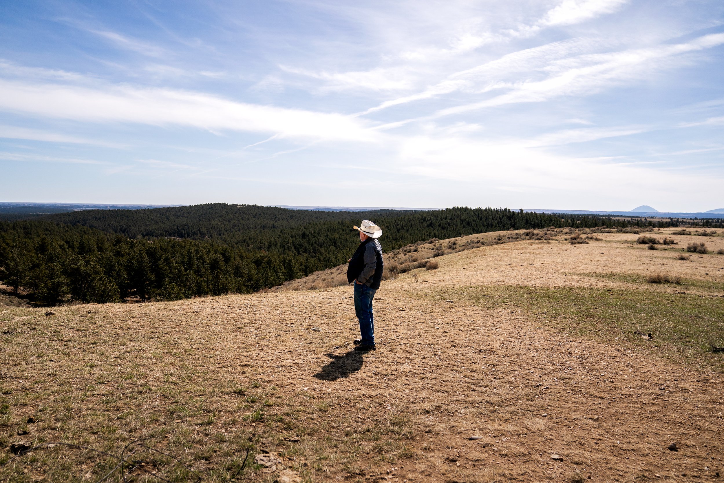  Butcher, 78, looks out over Montana land on which generations of his family have made a living.  