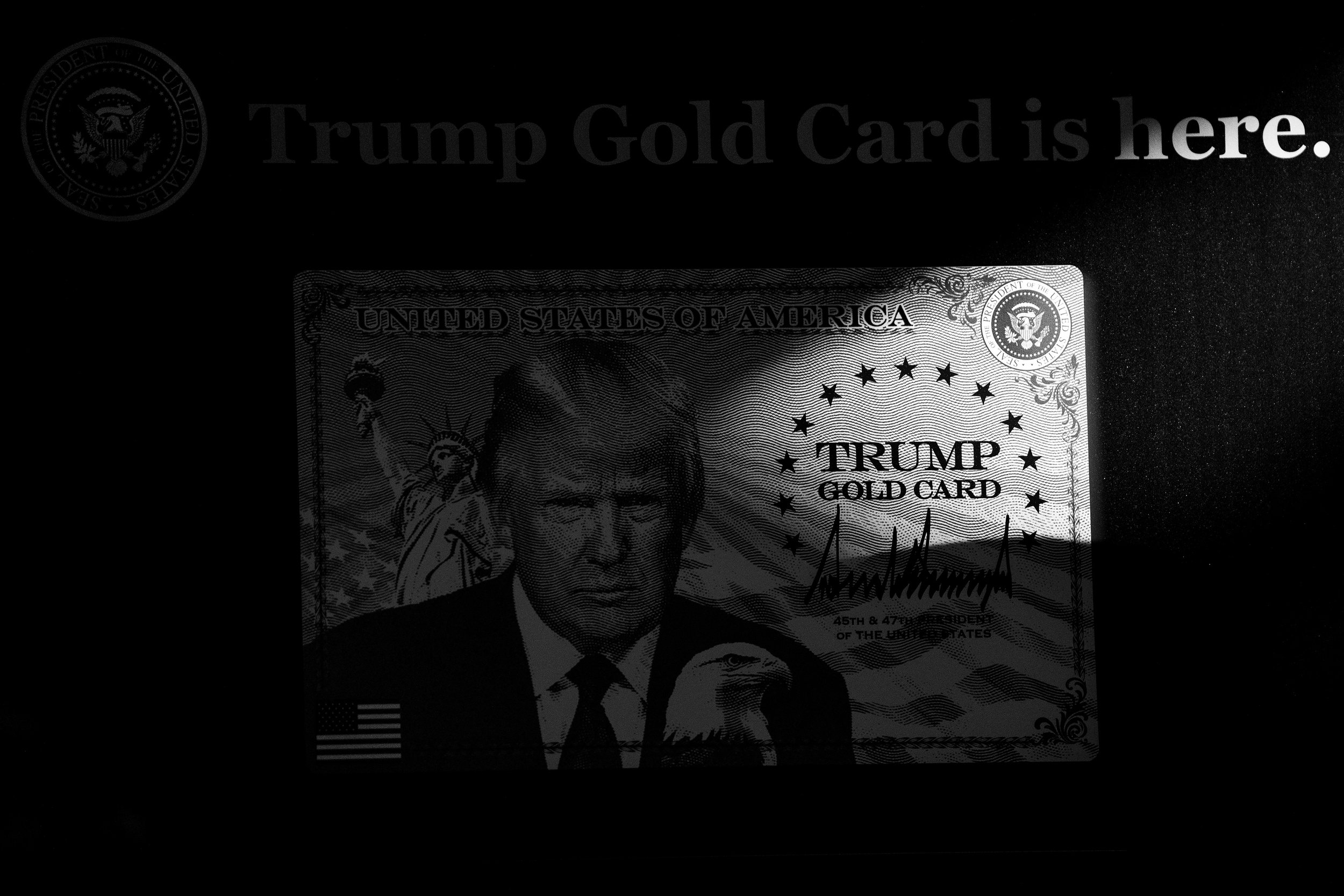 DFreeman_NP_WH_Sept19_039 copy.jpg