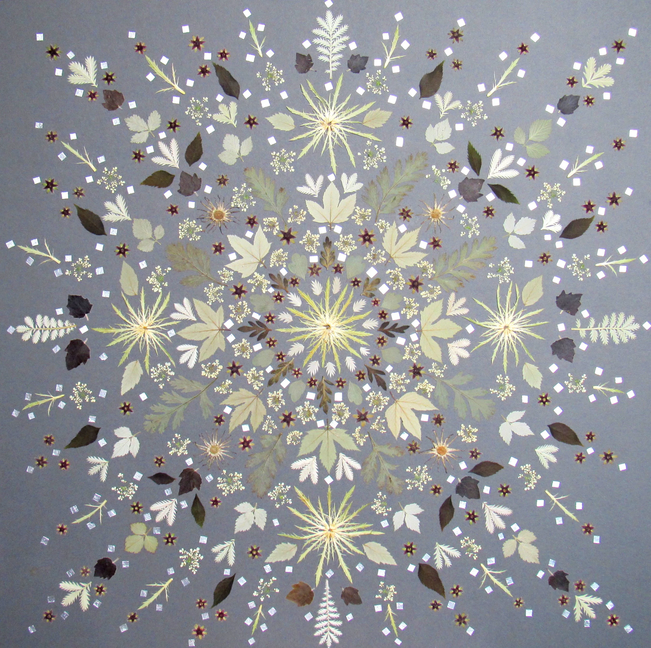 Star of Night