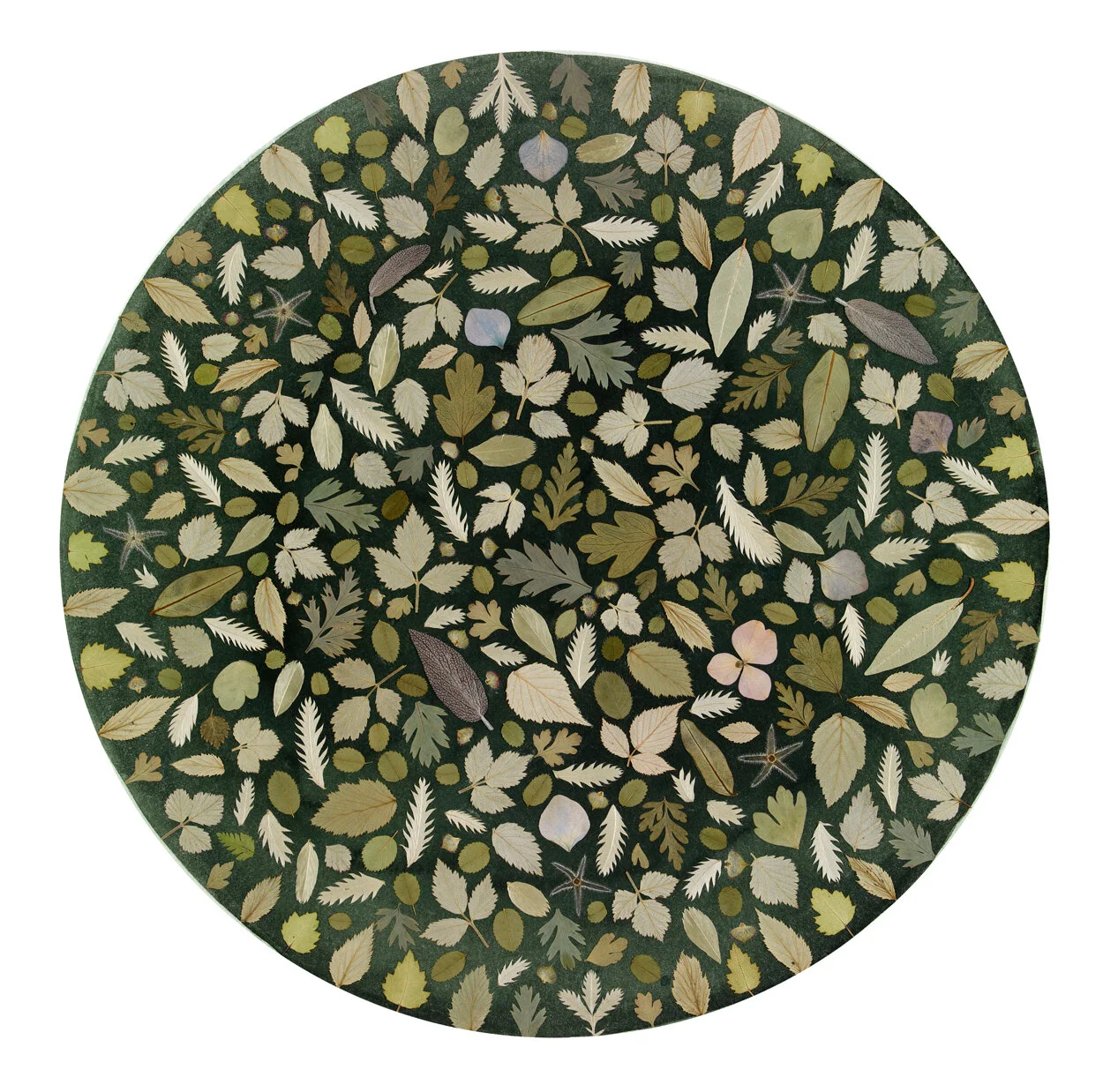 Garden ..earth series  014.jpg