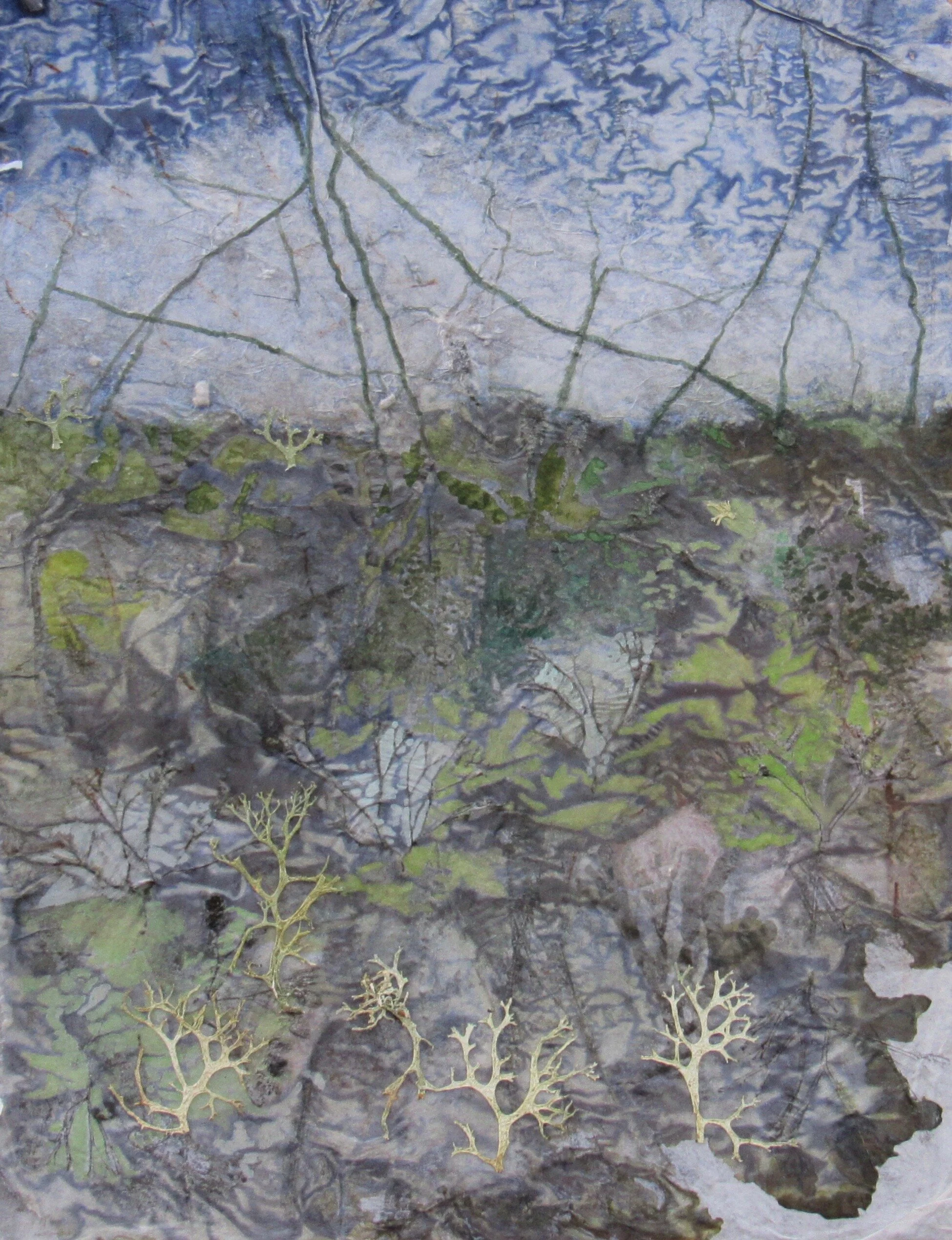 lichen landscape 30x40cm 2018.jpg