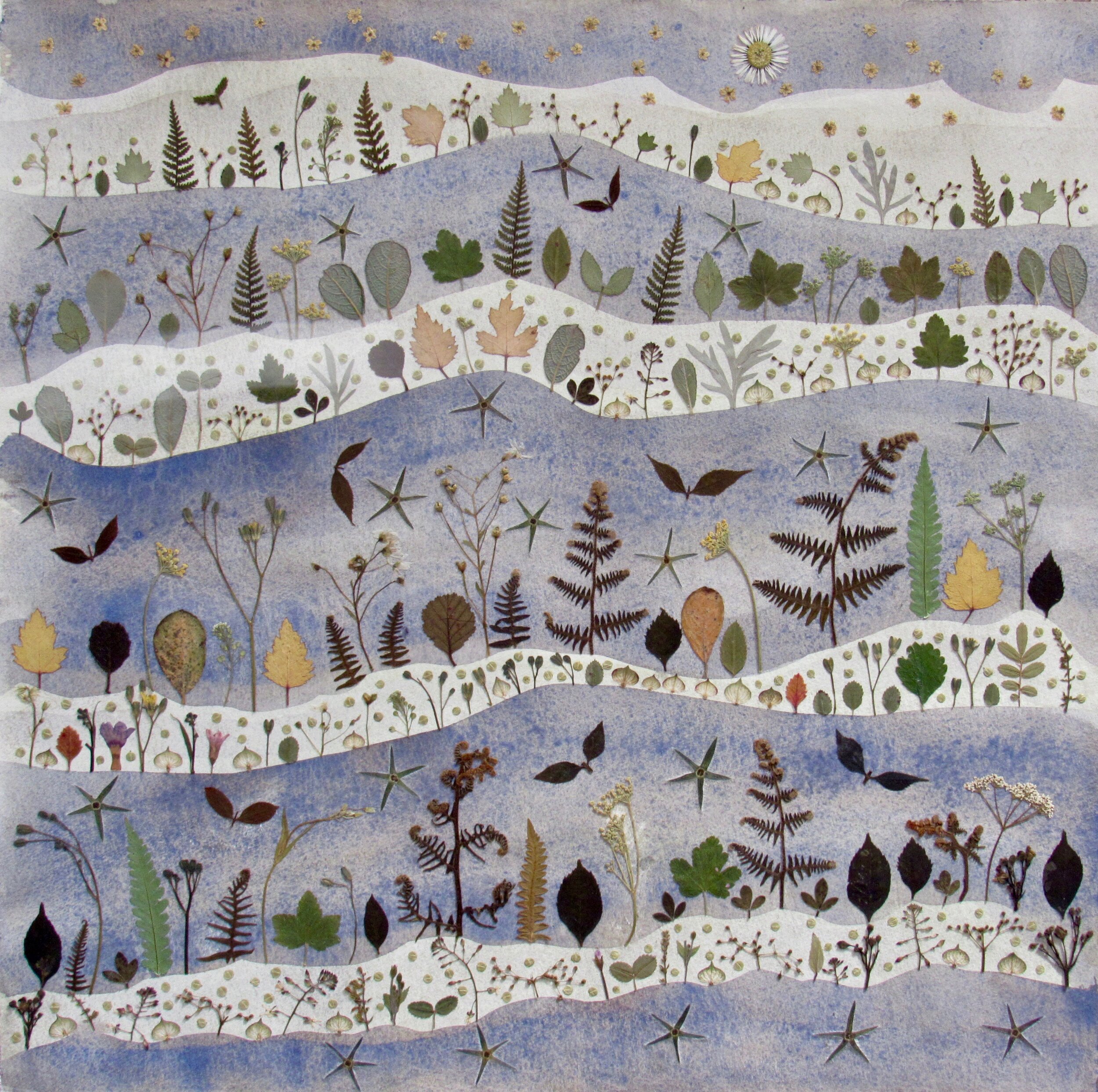 wild flora lanscape 30x30cm 2019.jpg