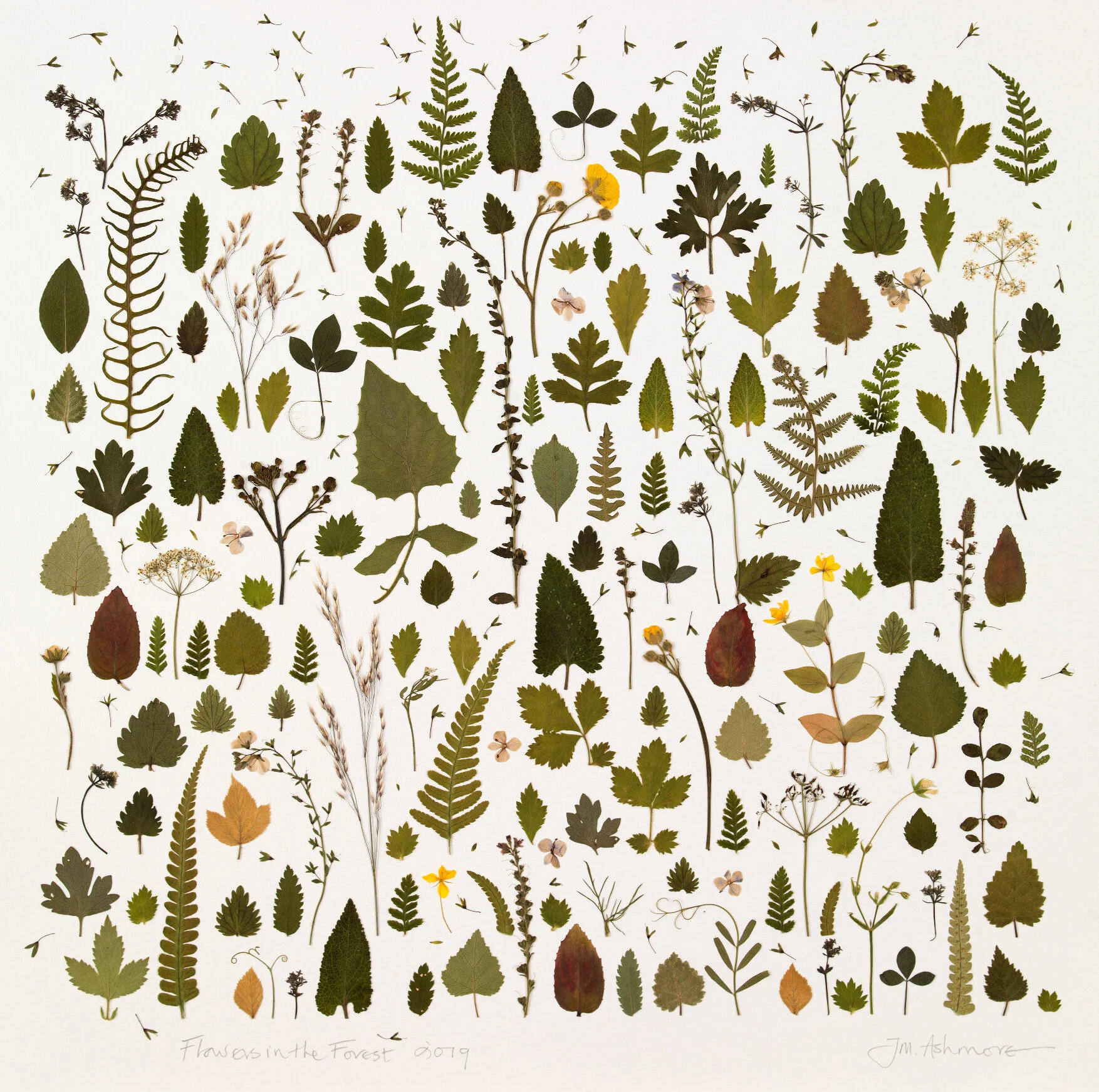 Flowers in the forest 30x30cm