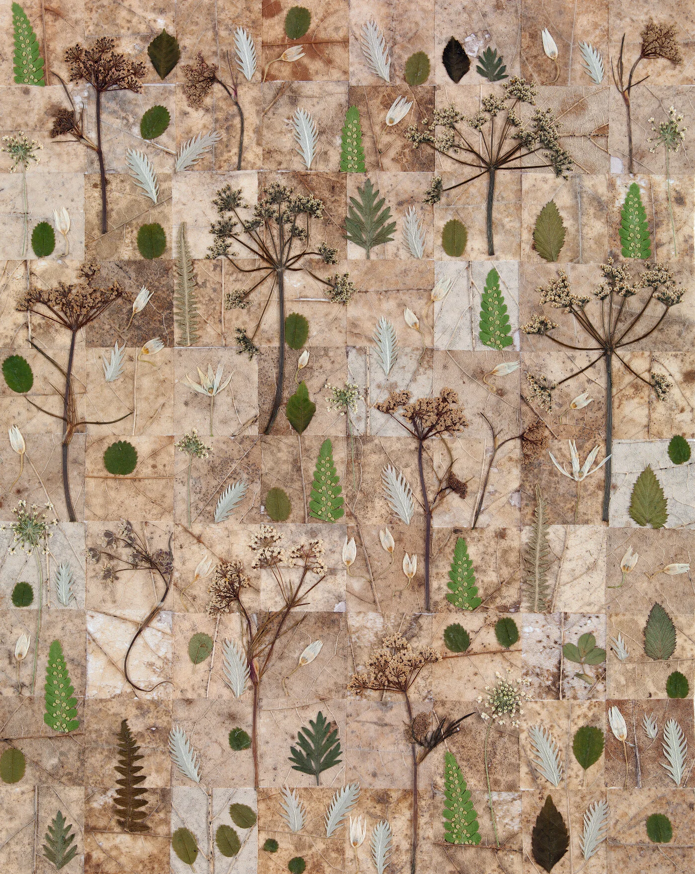 Winter with ferns 2019 22x18cm