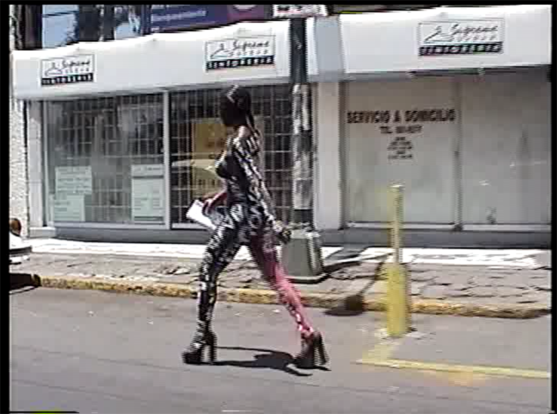 Villanueva_Pasionaria_video_02 2.png