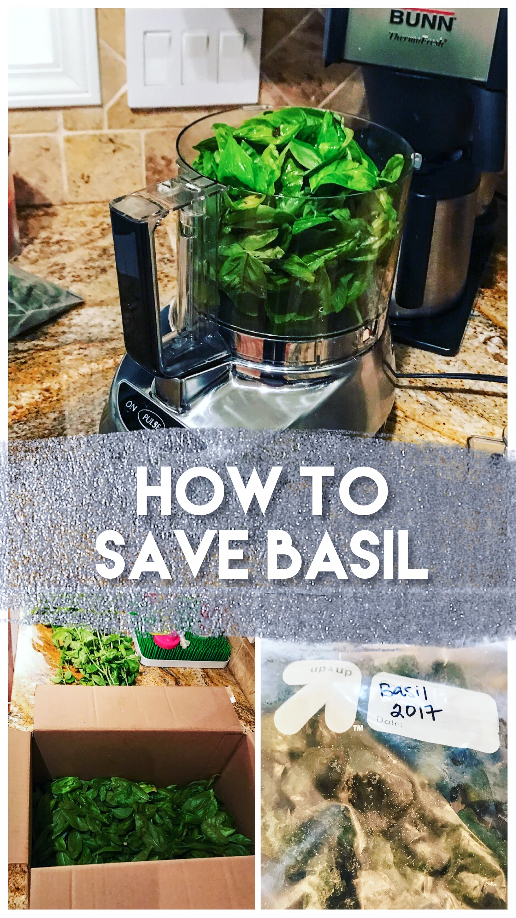 How to Save Basil
