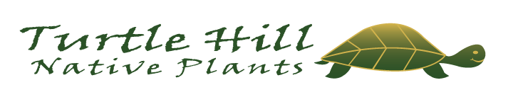 Turtle Hill Native Plants