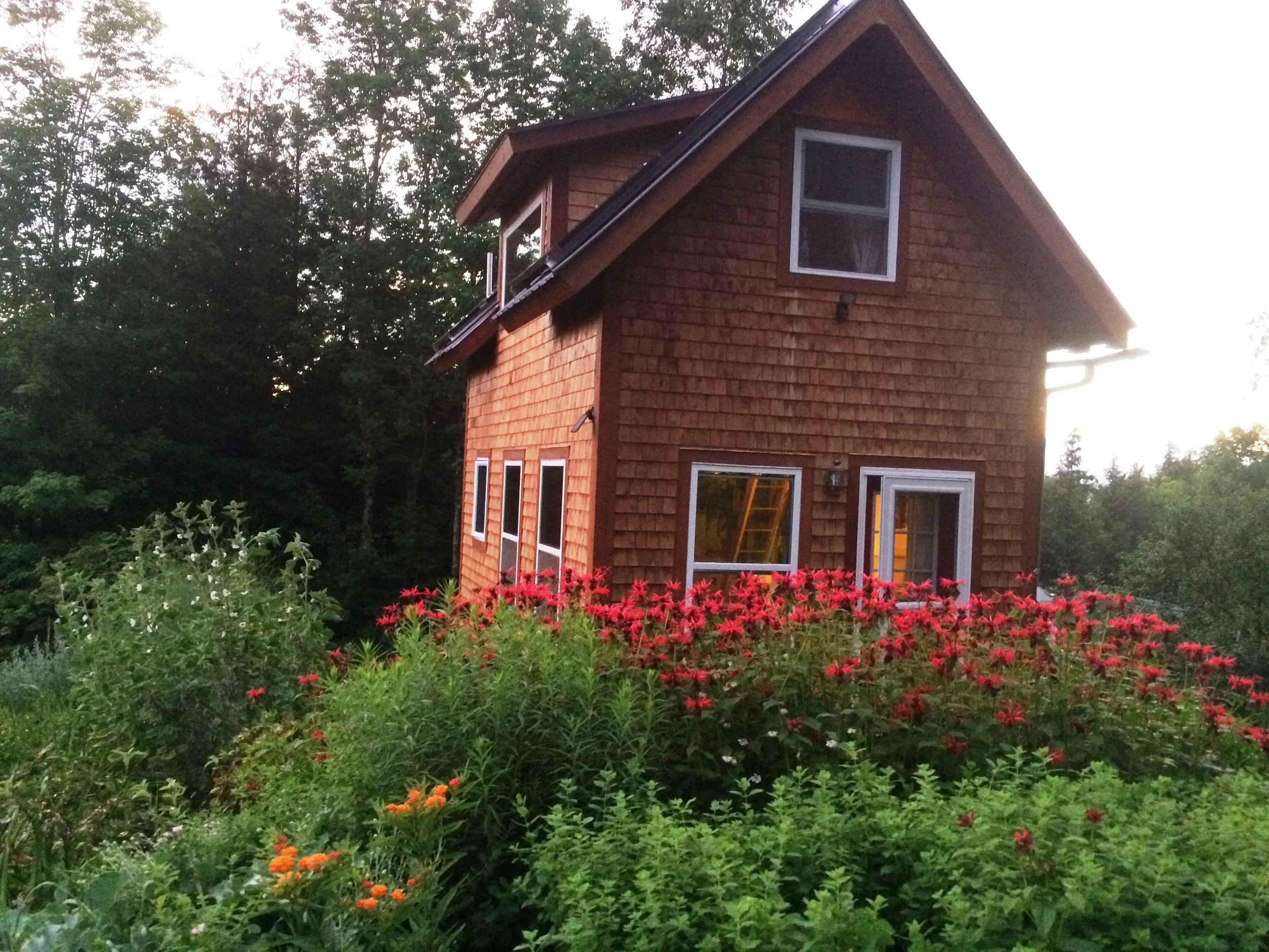 Beebalm and tiny house.JPG