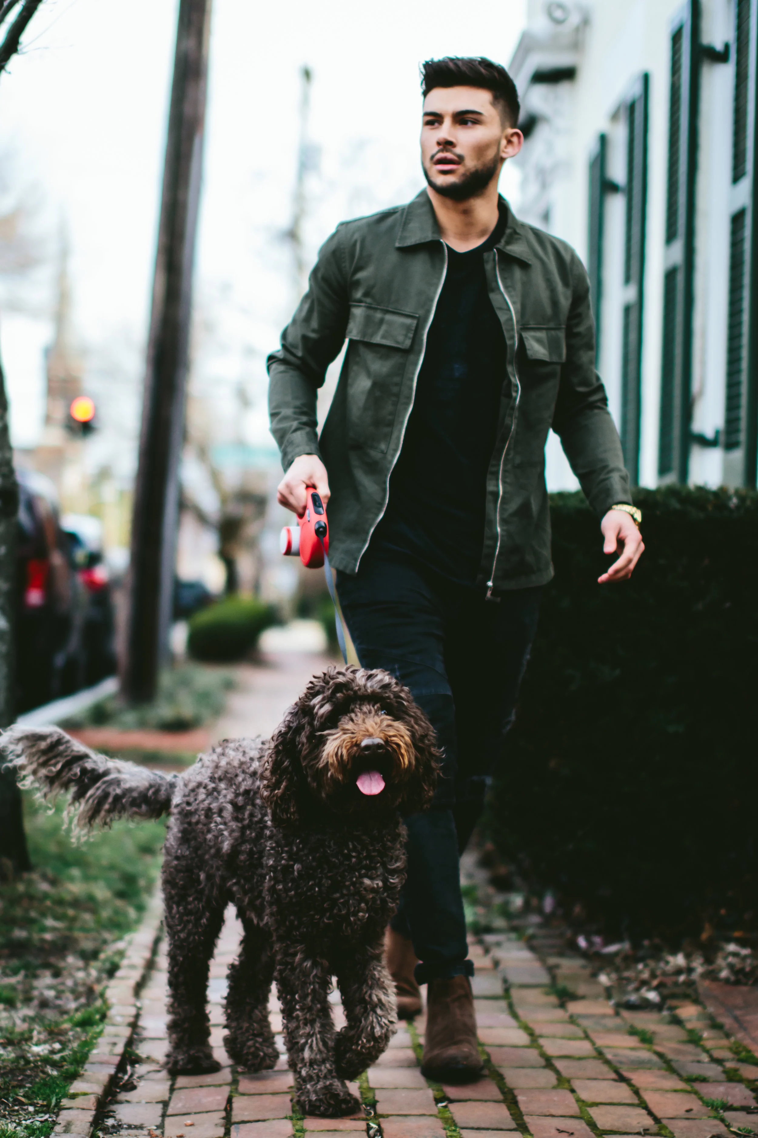 DowntownDog.jpg
