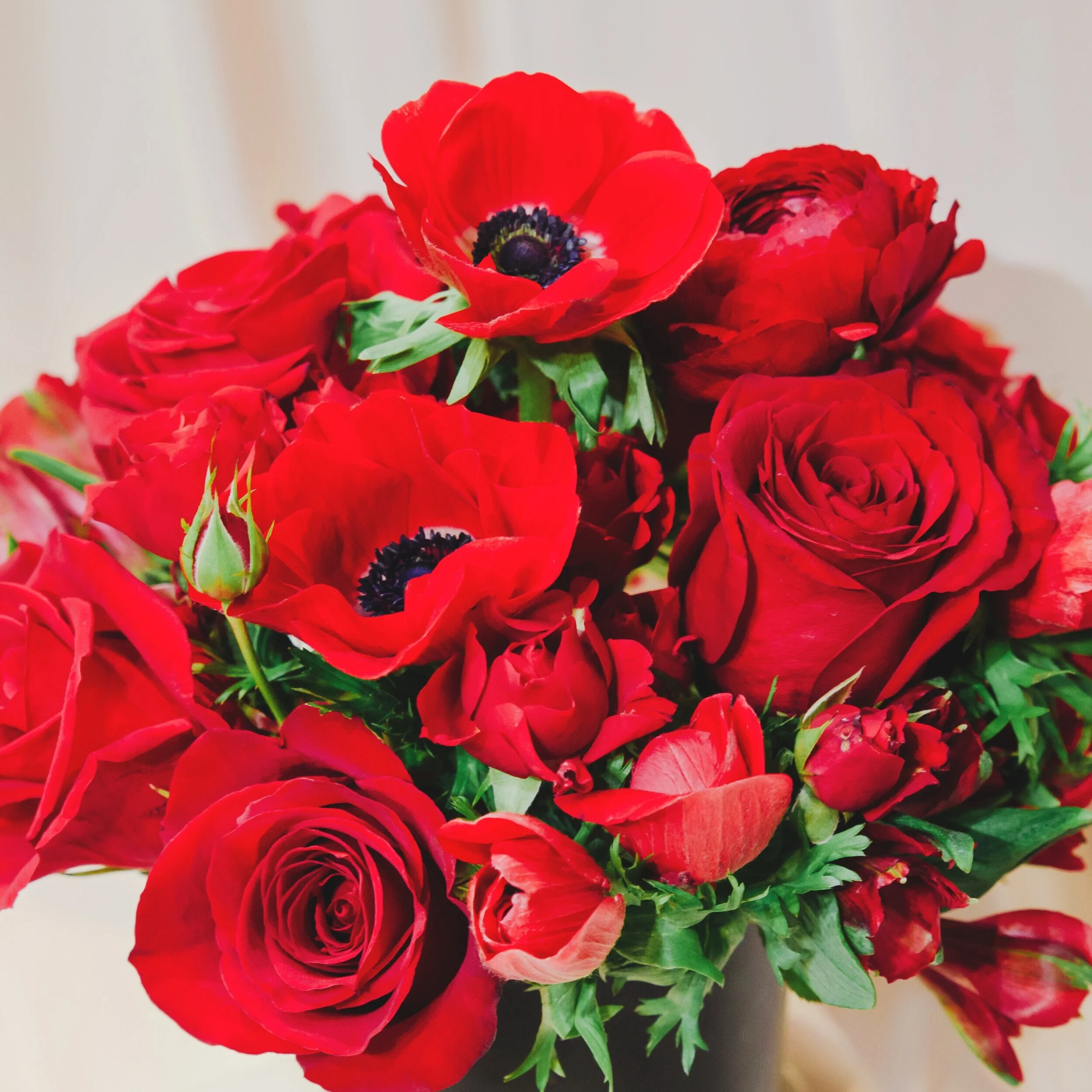 Reds - Valentine's Collection