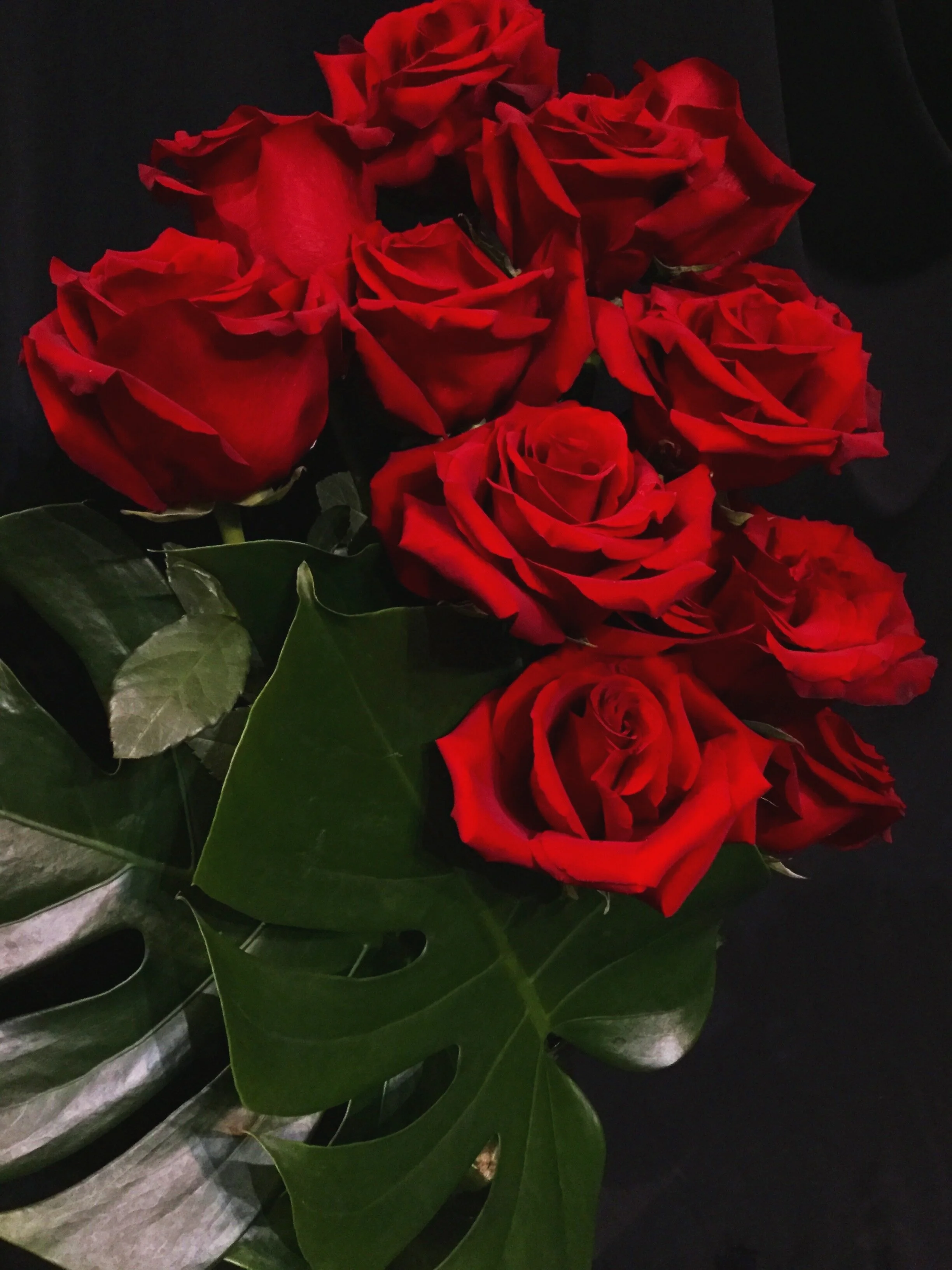 Roses - Valentine's Collection