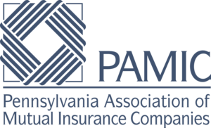 PAMIC+Logo+-+PMS+540+U+-+Spot.png